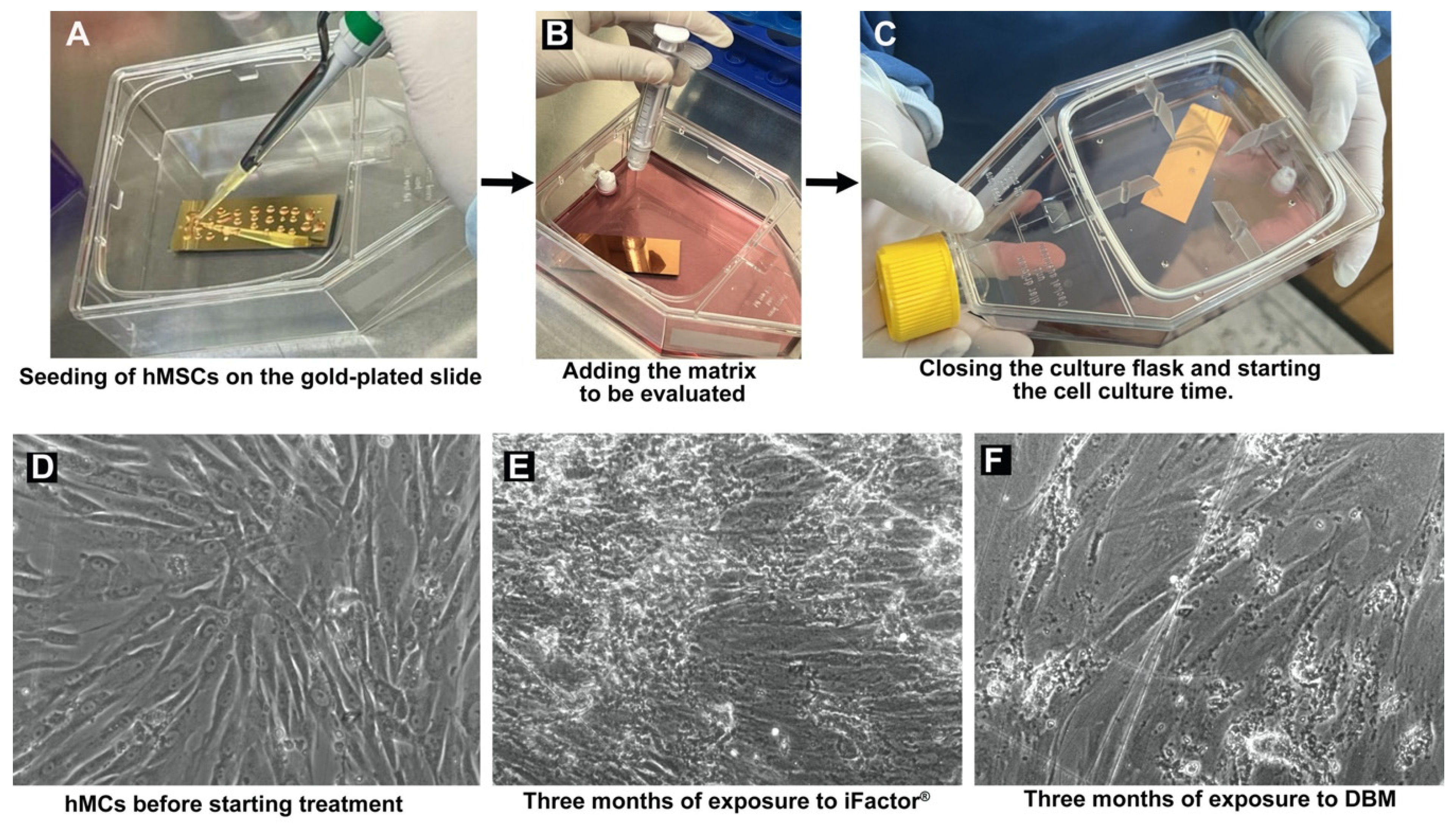 Medicina 61 00914 g002
