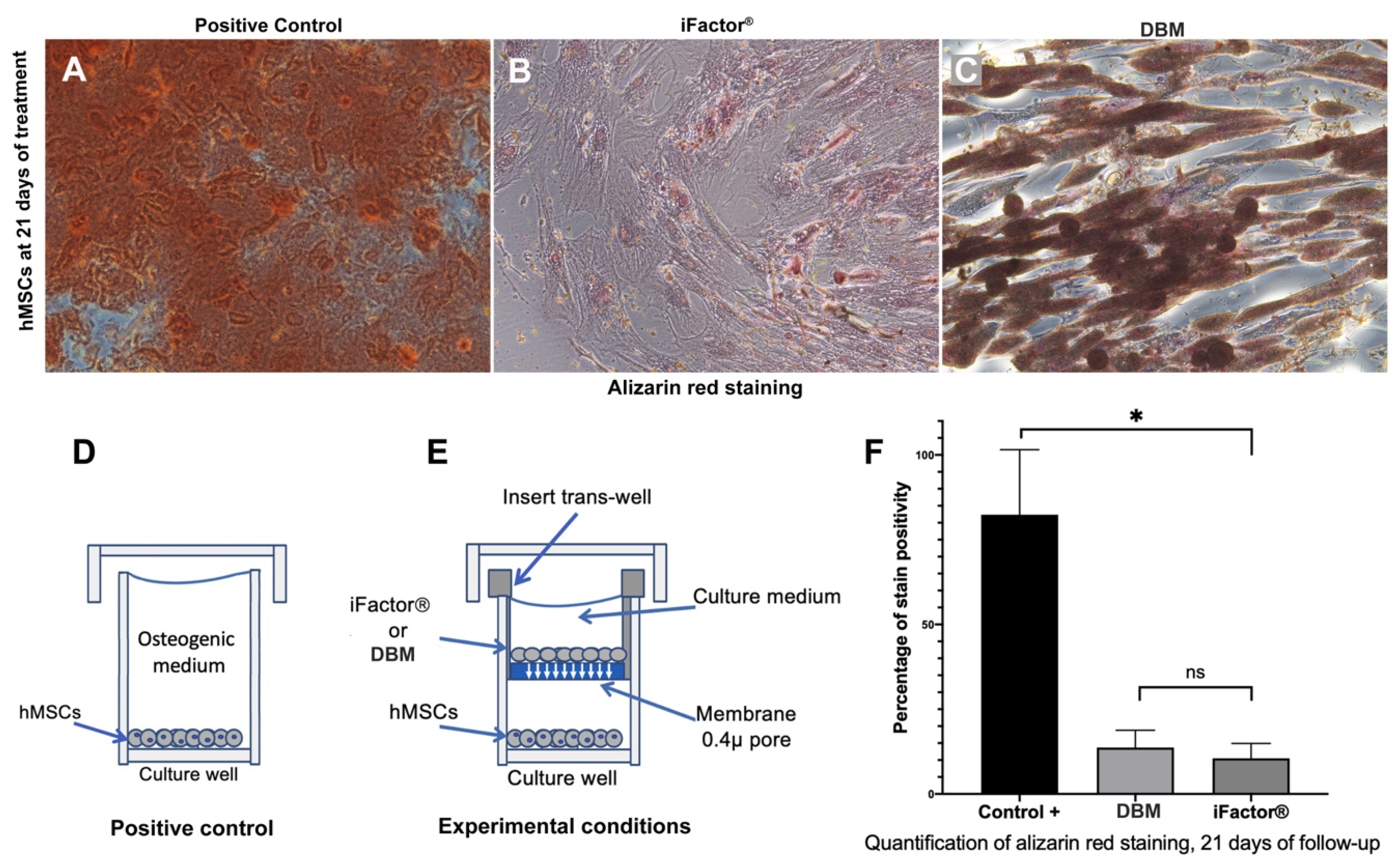 Medicina 61 00914 g004