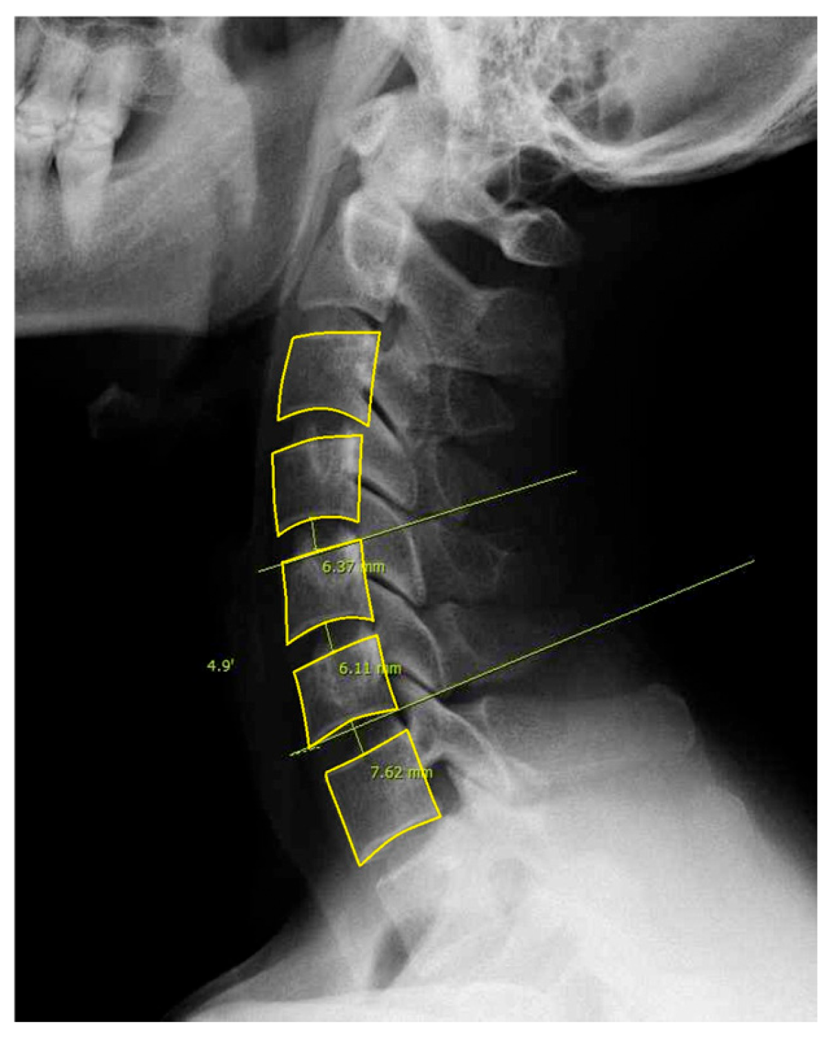 Medicina 61 00916 g001