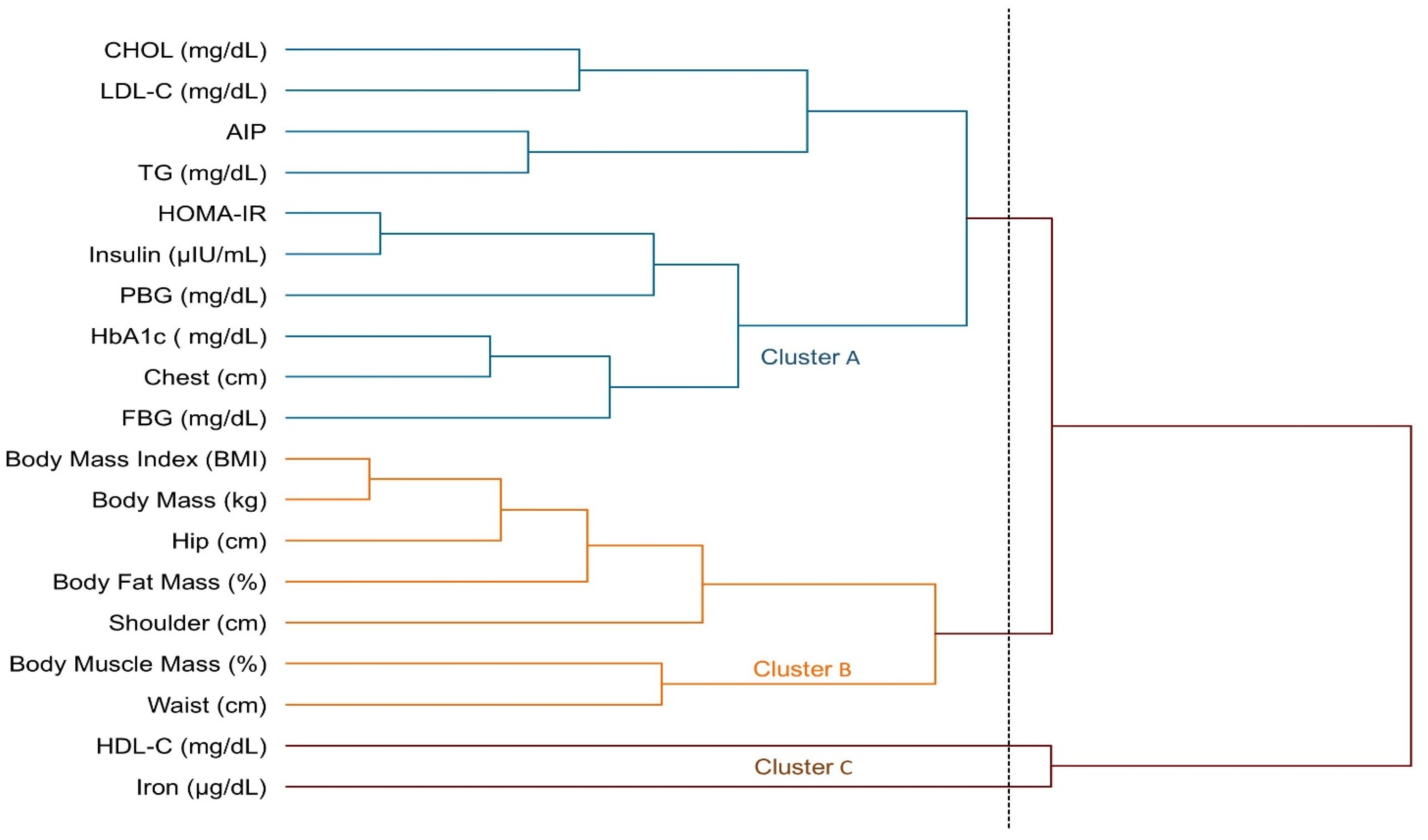 Medicina 61 00942 g006