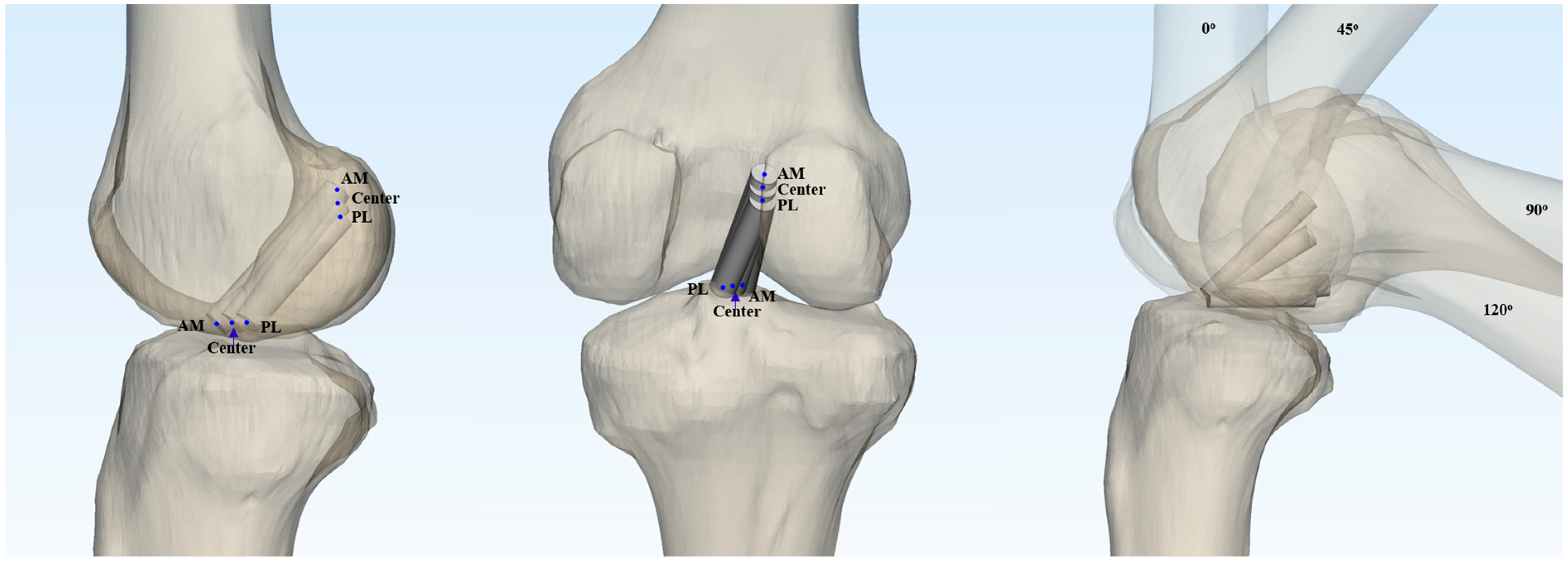 Medicina 61 00946 g001