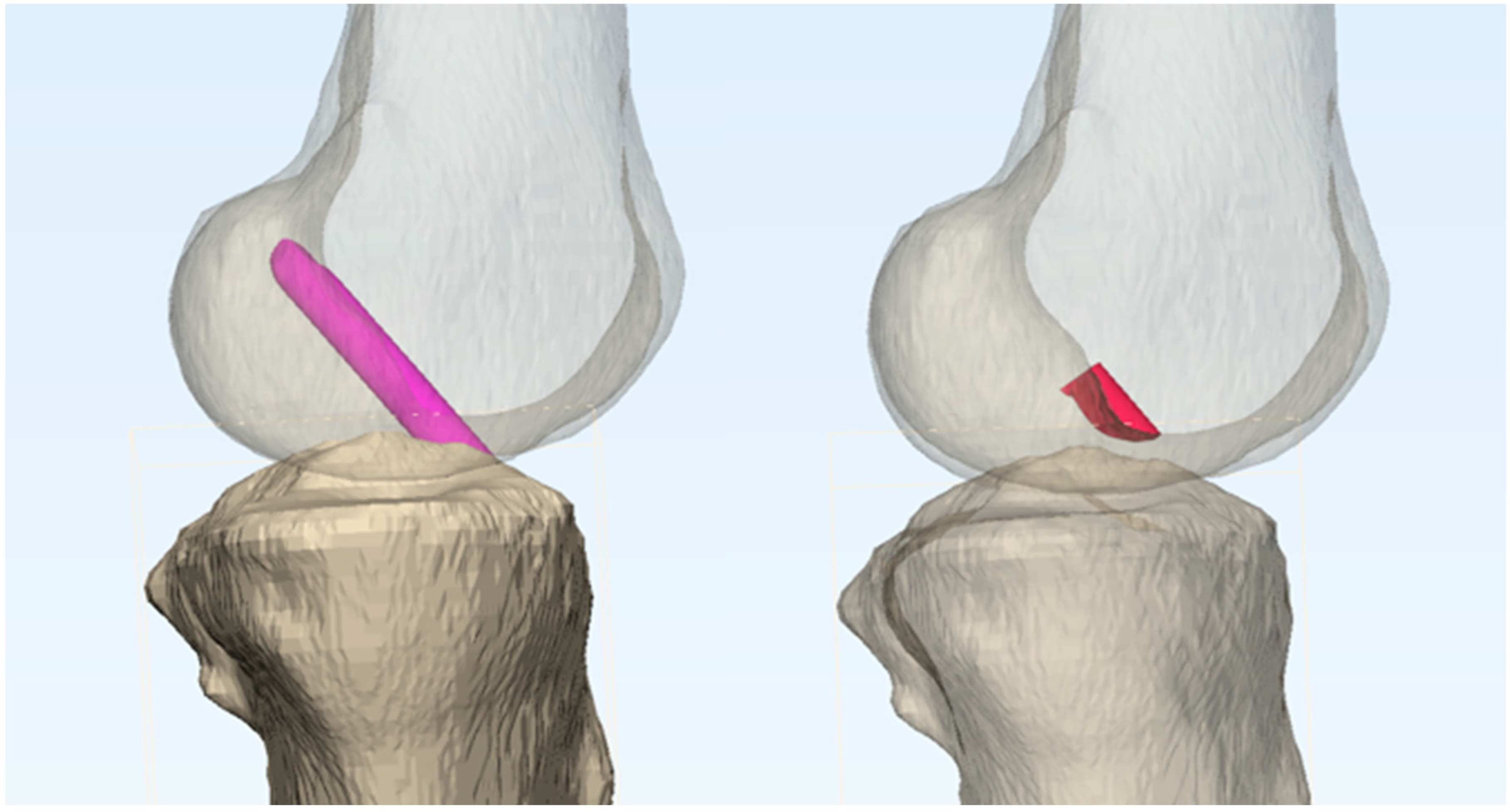 Medicina 61 00946 g002