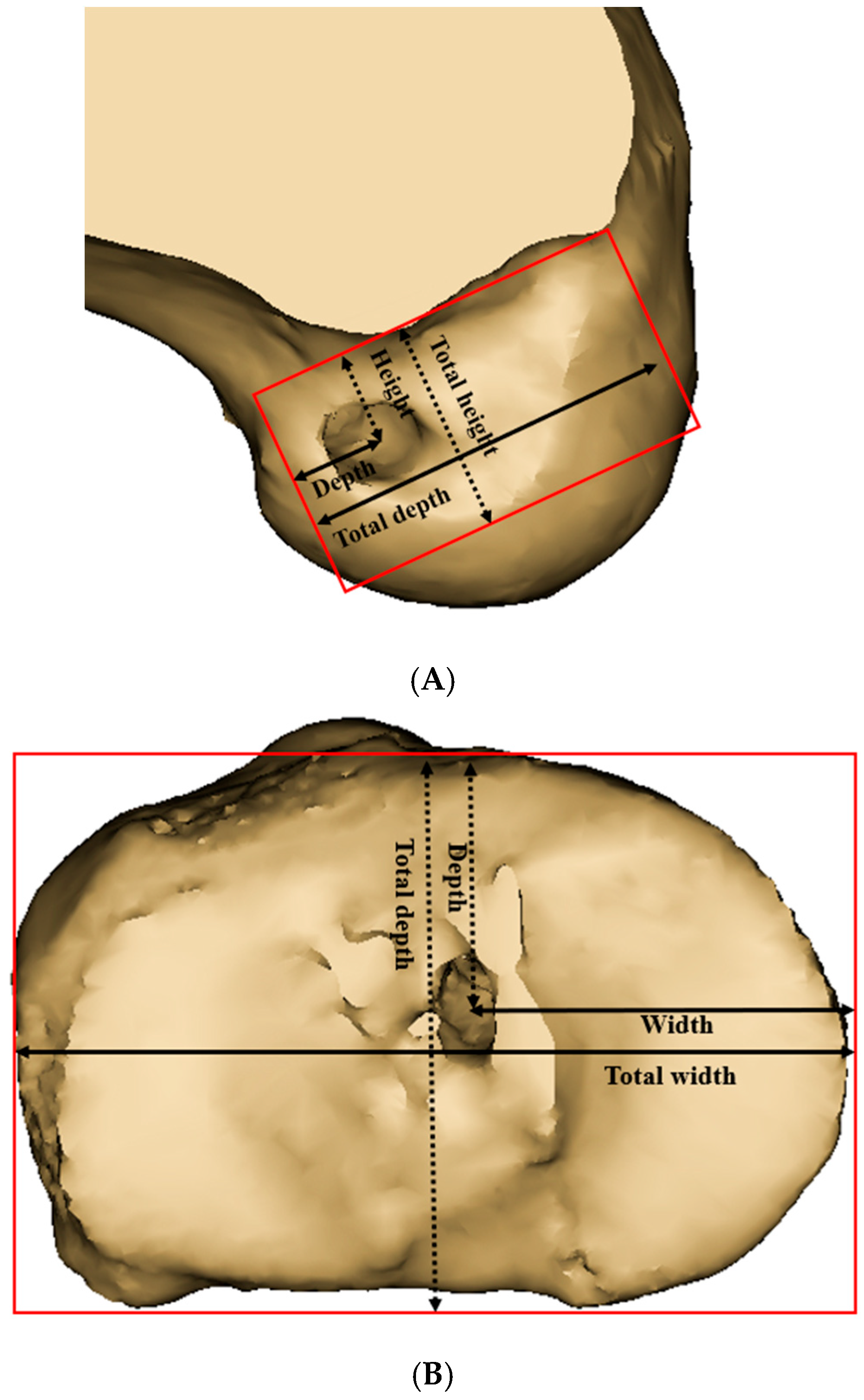 Medicina 61 00946 g003
