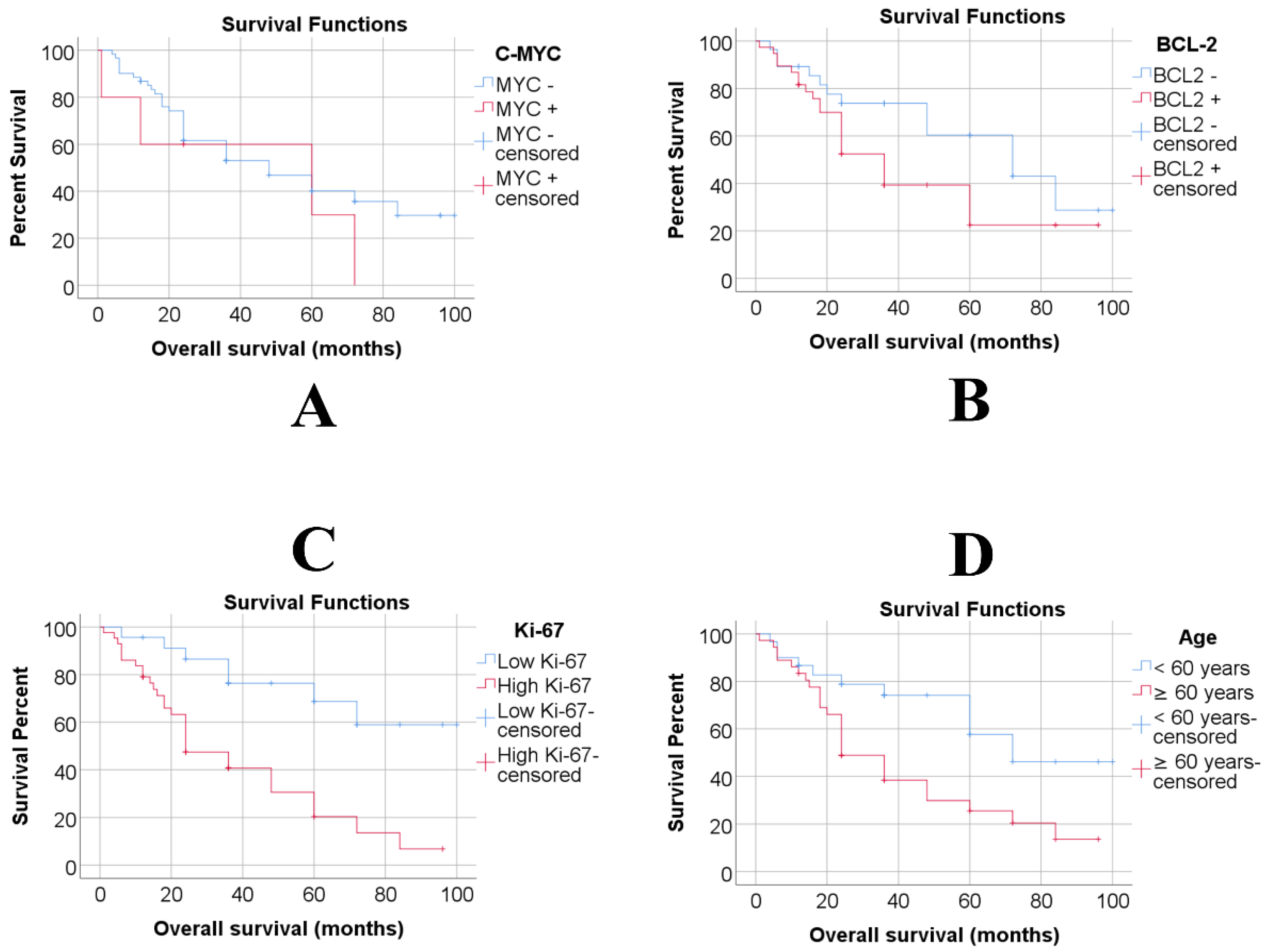 Medicina 61 00948 g001 Medicina 61 00948 g001