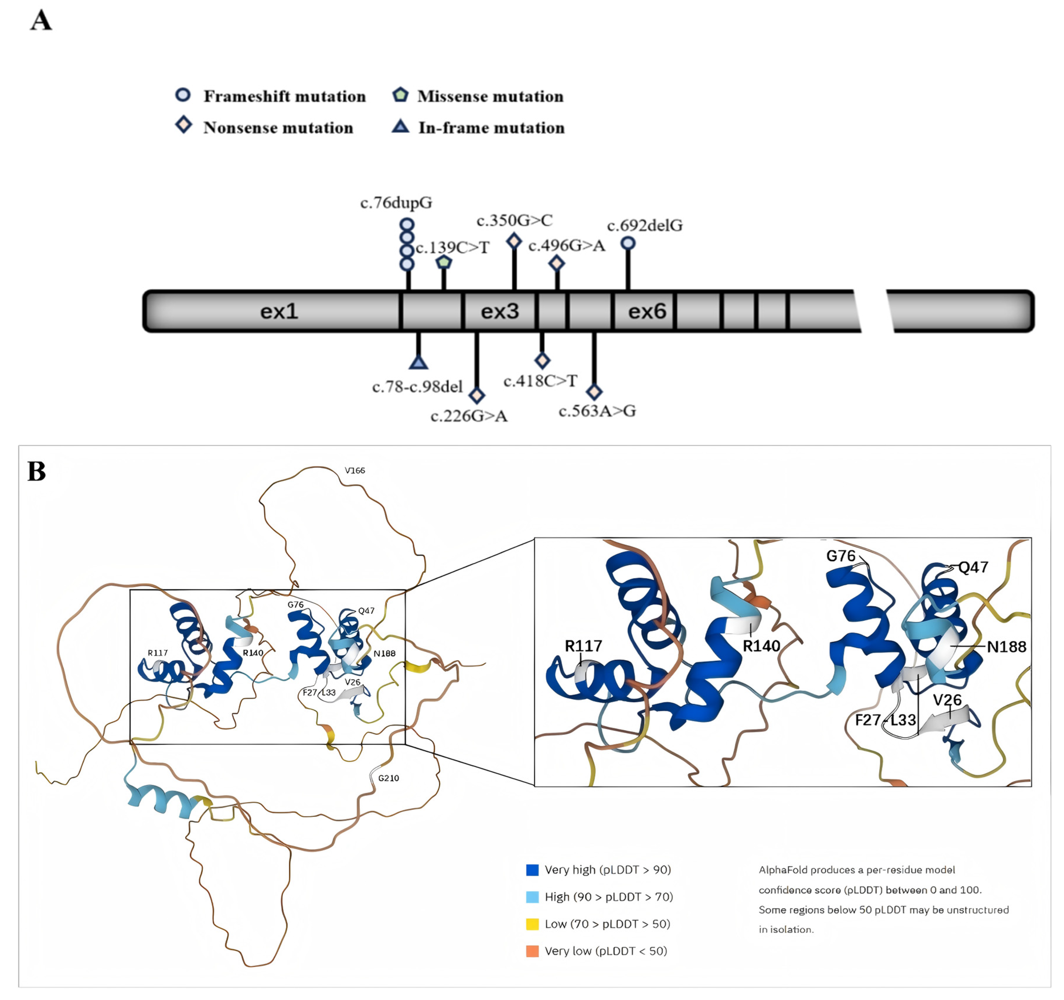 Medicina 61 00959 g001