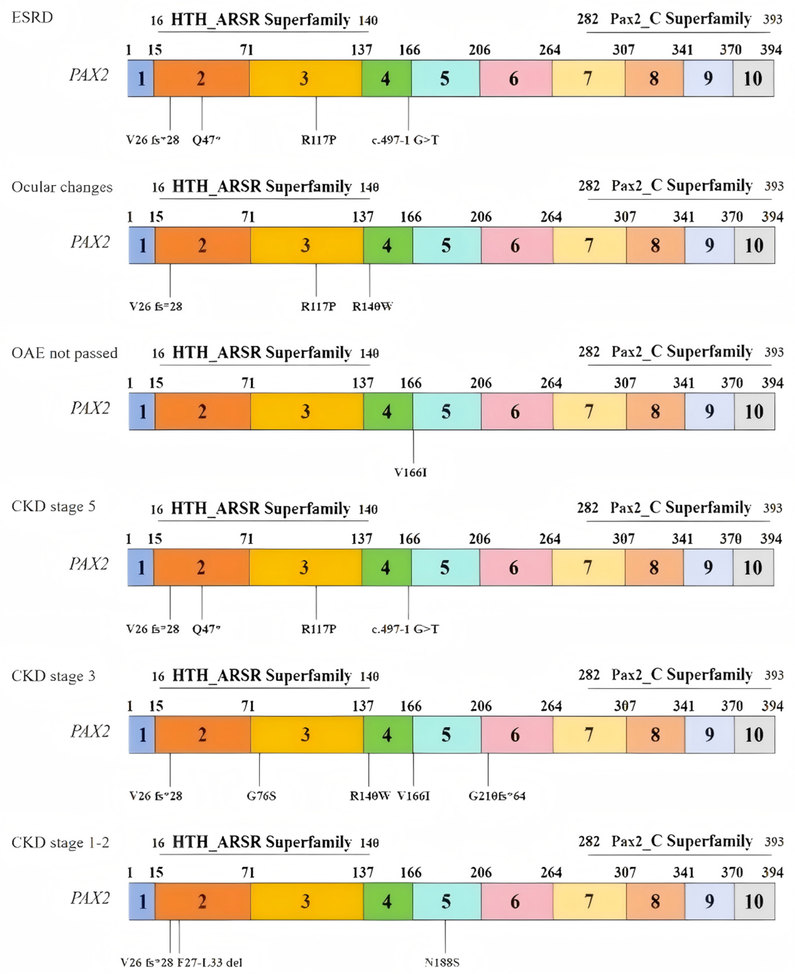 Medicina 61 00959 g003