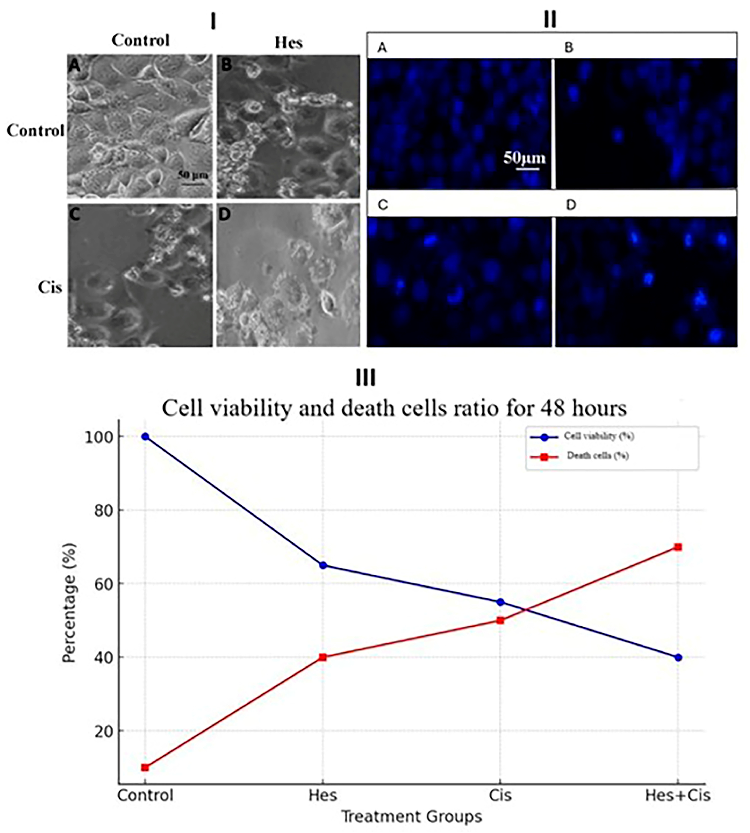 Medicina 61 00960 g005
