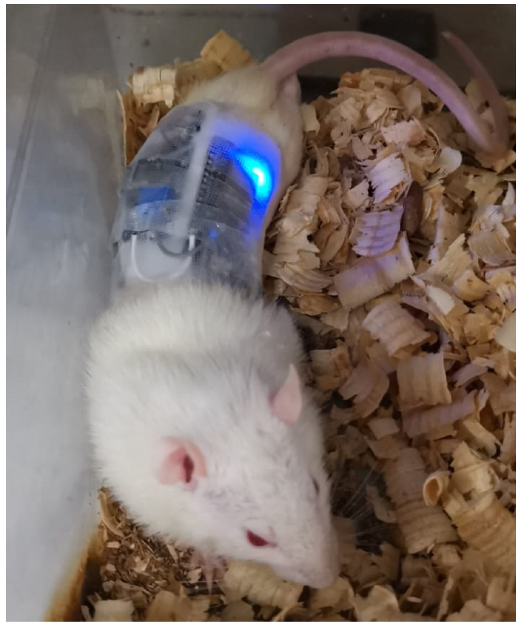 Medicina 61 00965 g003