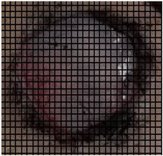 Medicina 61 00965 i002