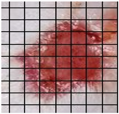 Medicina 61 00965 i006