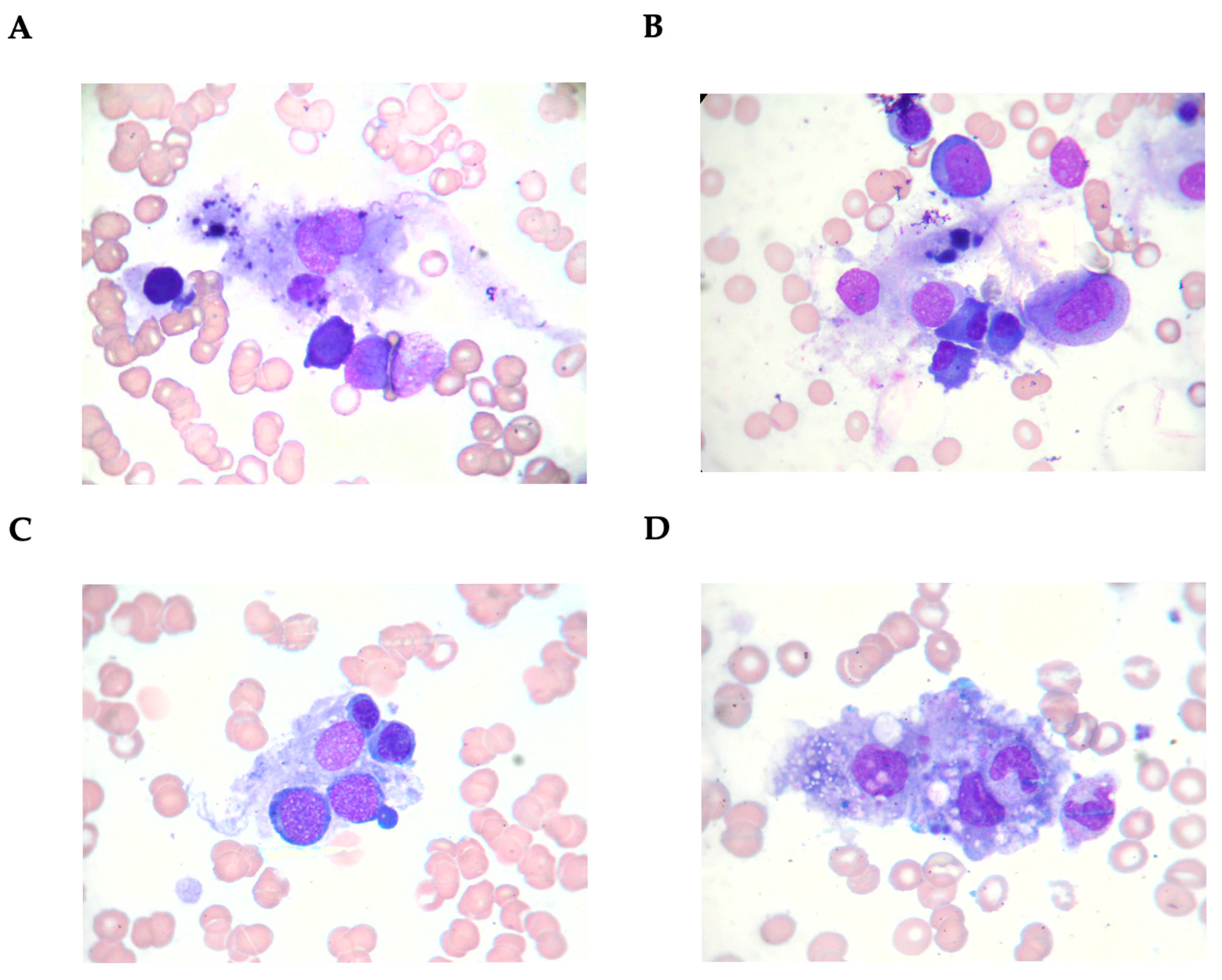 Medicina 61 00977 g001