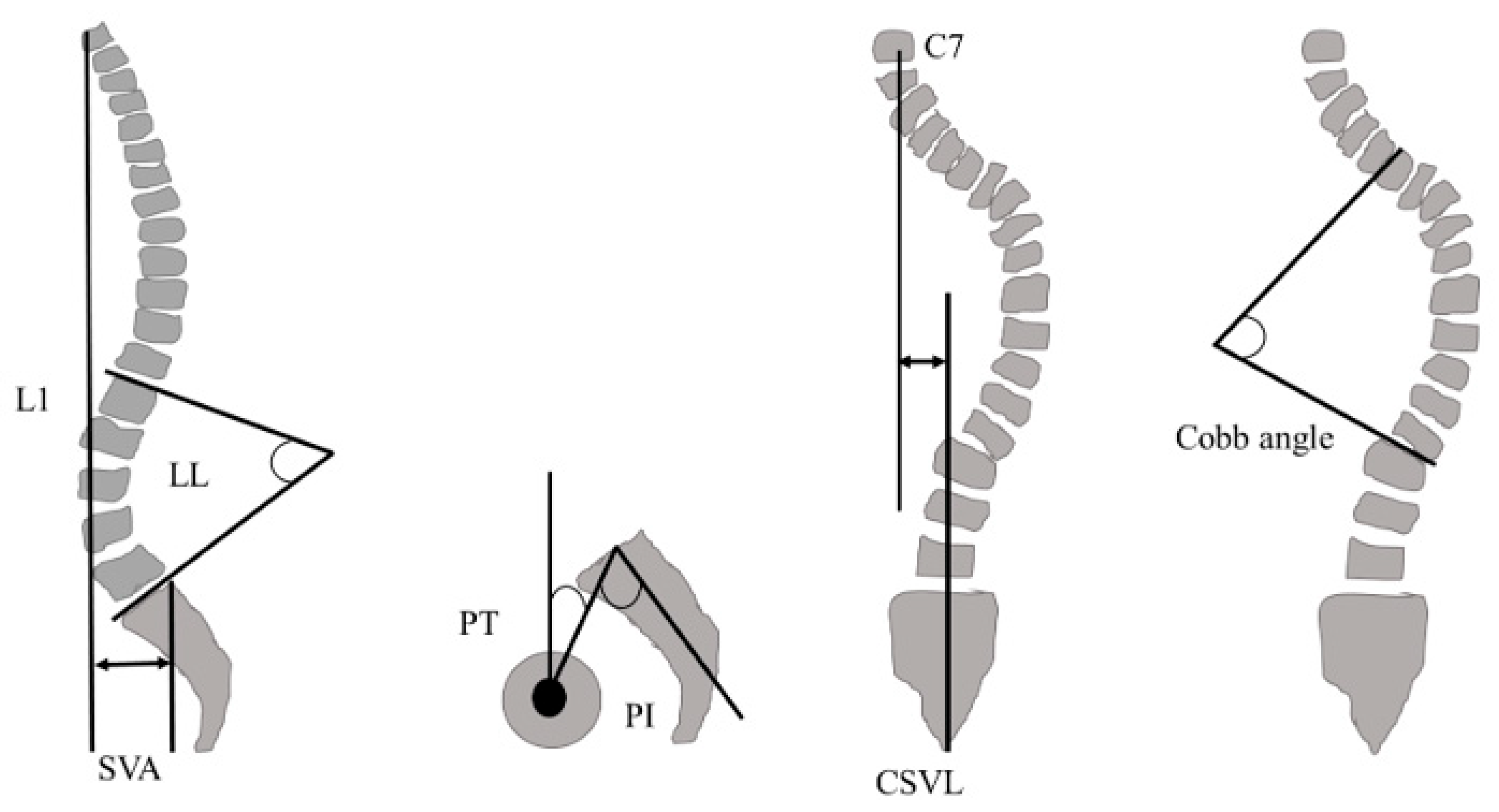 Medicina 61 00980 g003