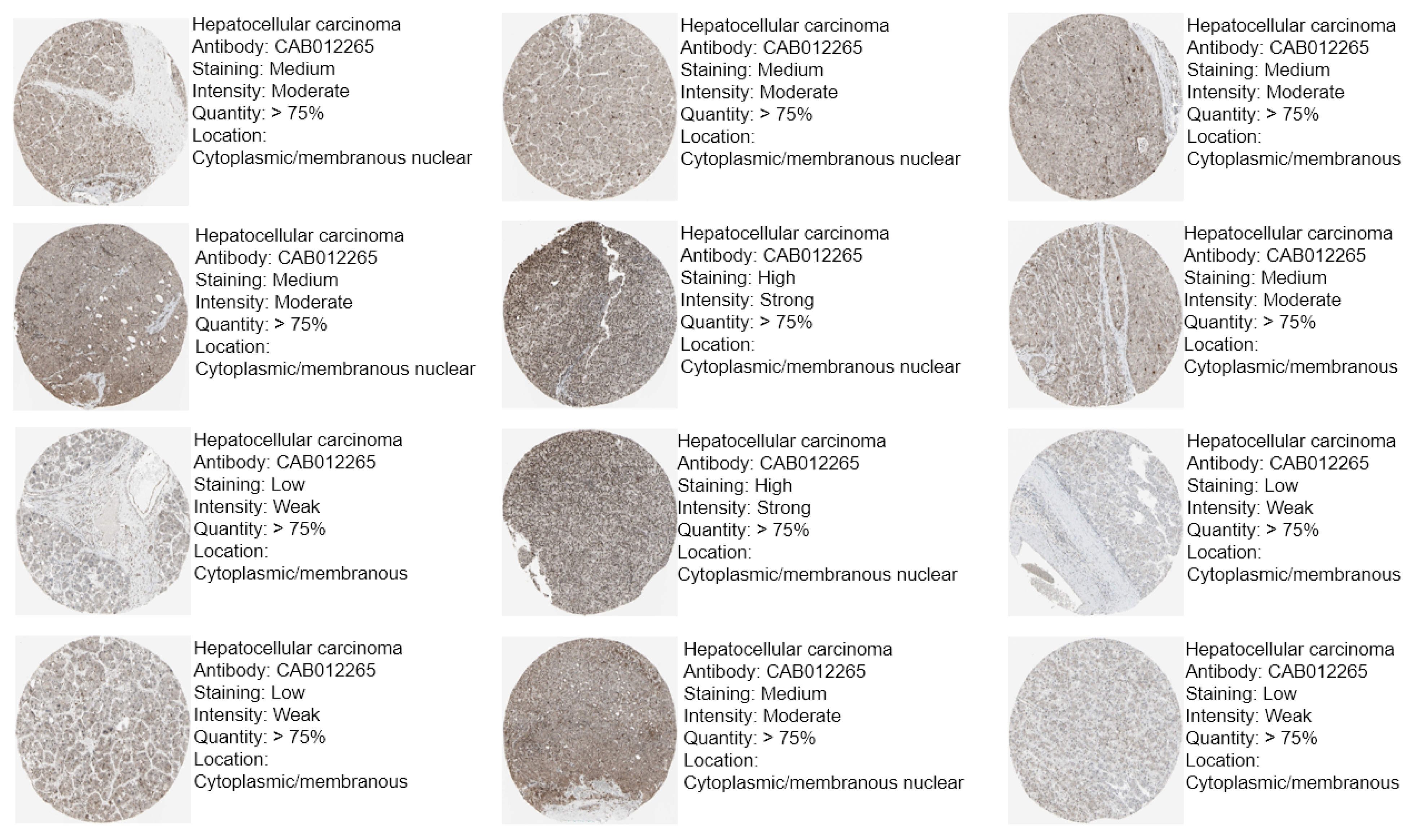 Medicina 61 00983 g002