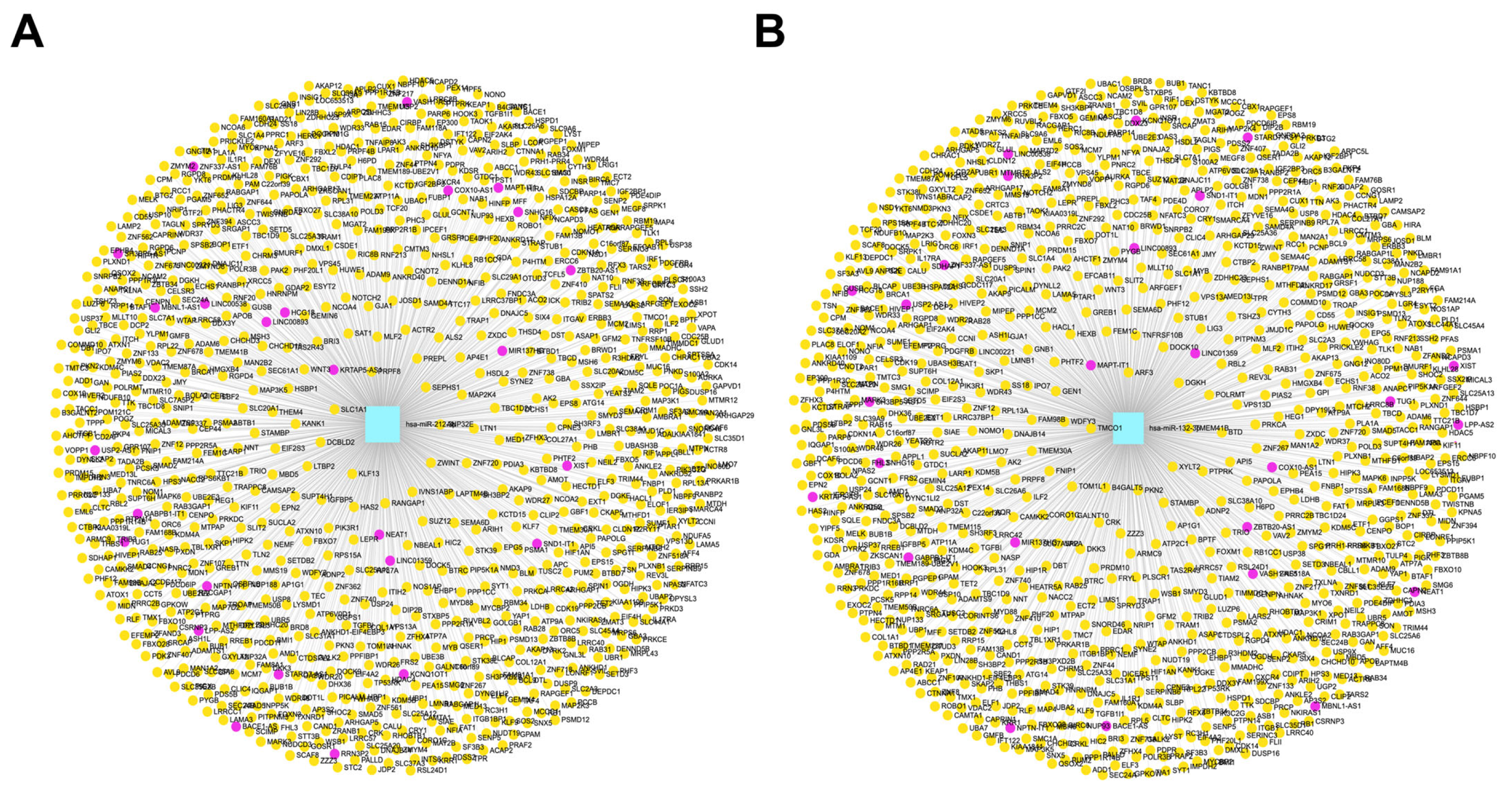 Medicina 61 00983 g010