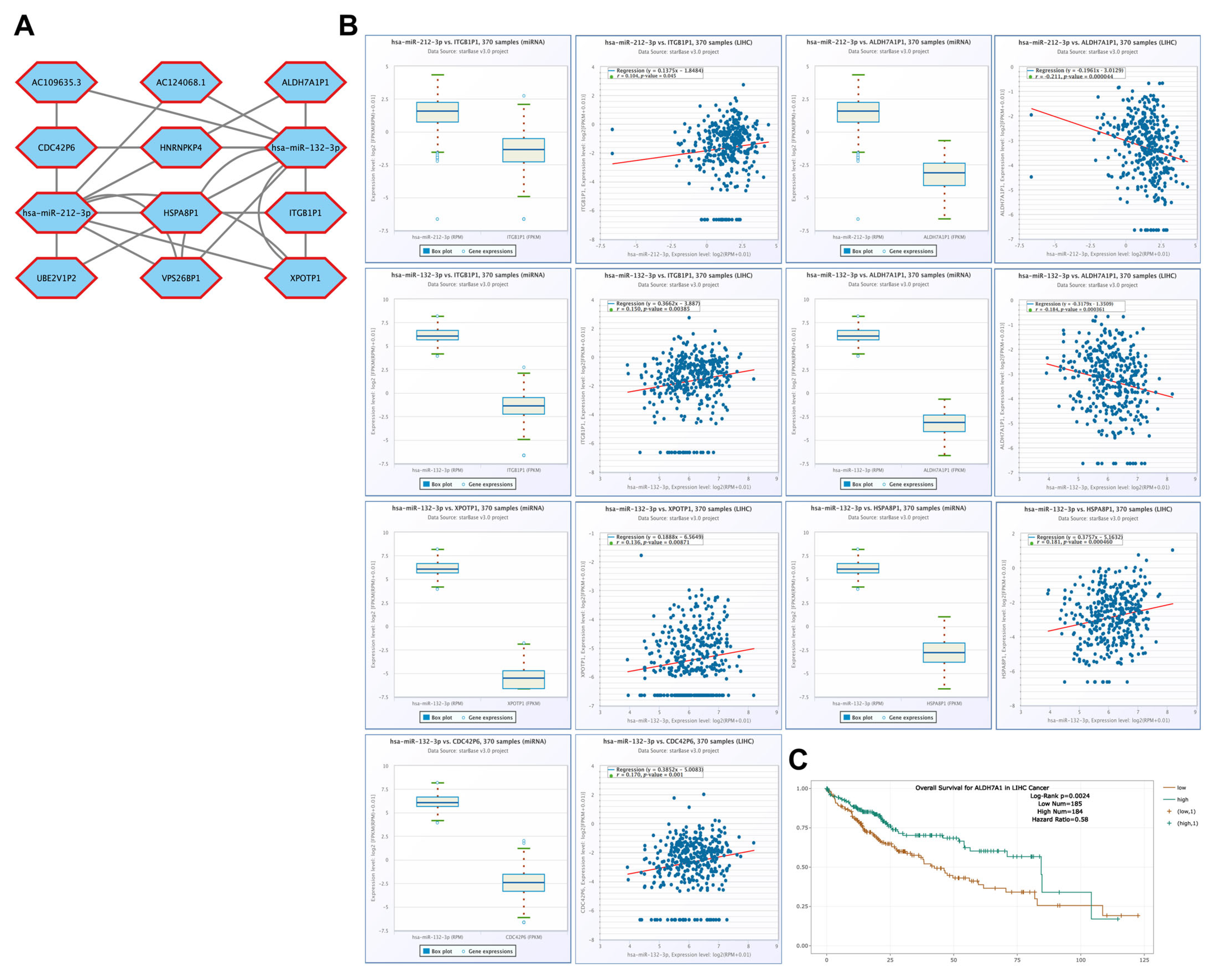 Medicina 61 00983 g012