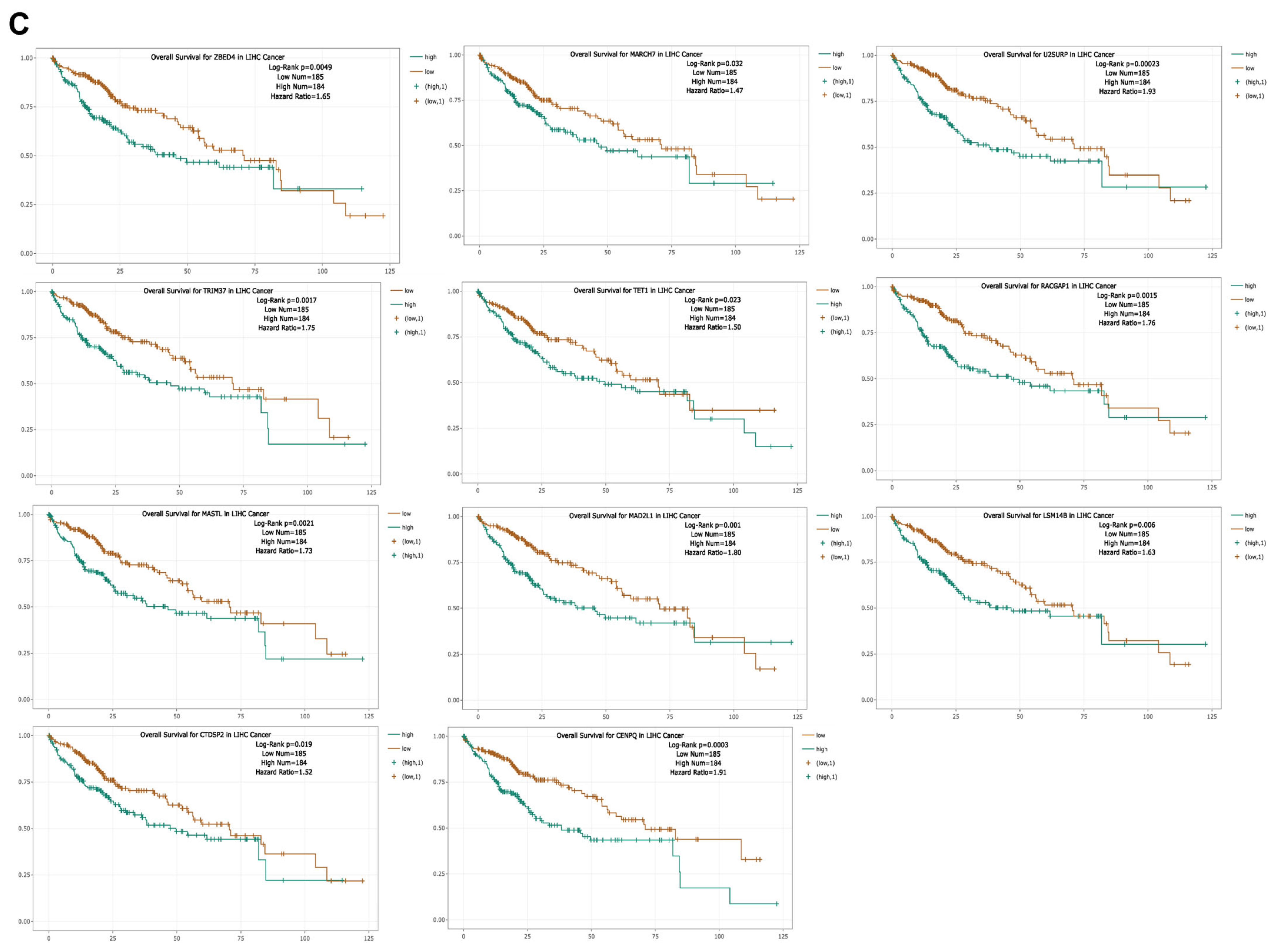 Medicina 61 00983 g013c