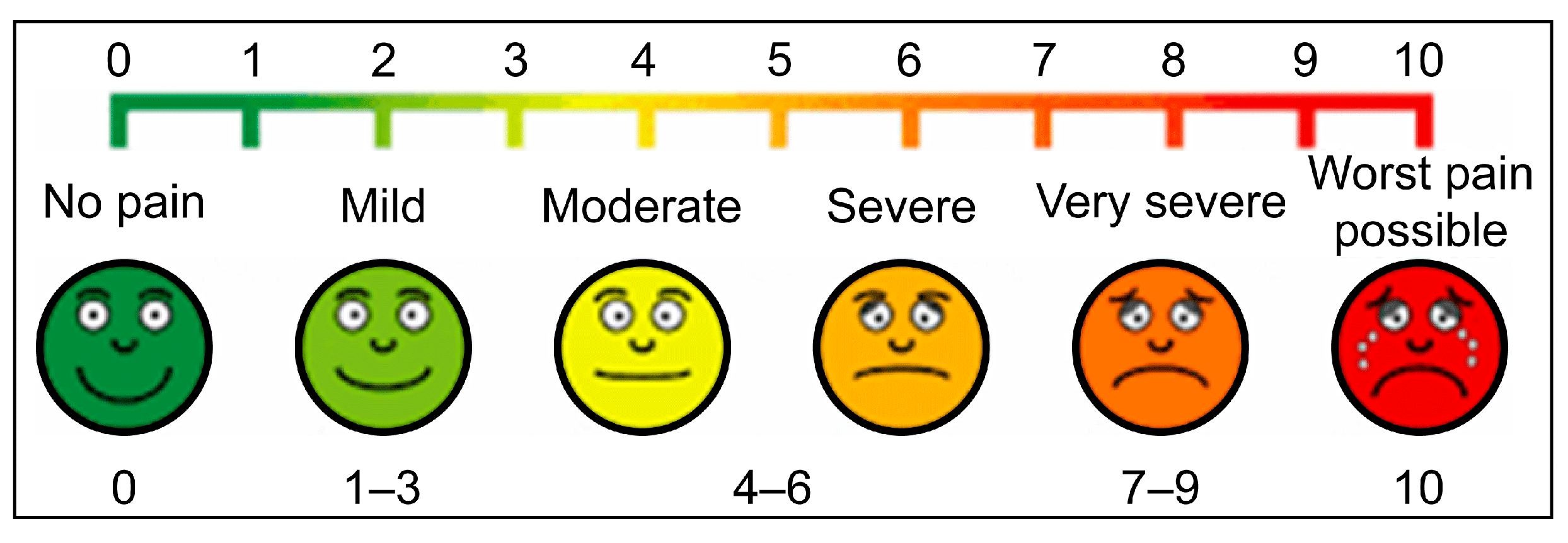Medicina 61 01001 g002