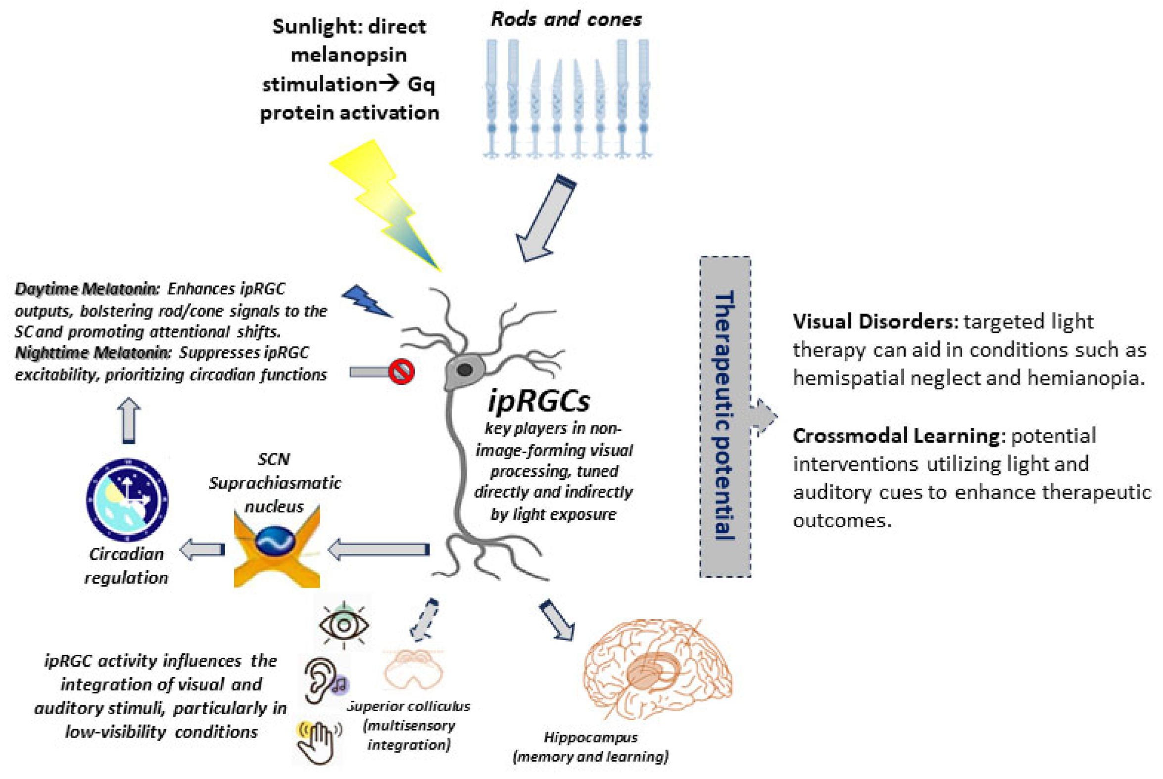 Medicina 61 01009 g003 Medicina 61 01009 g003
