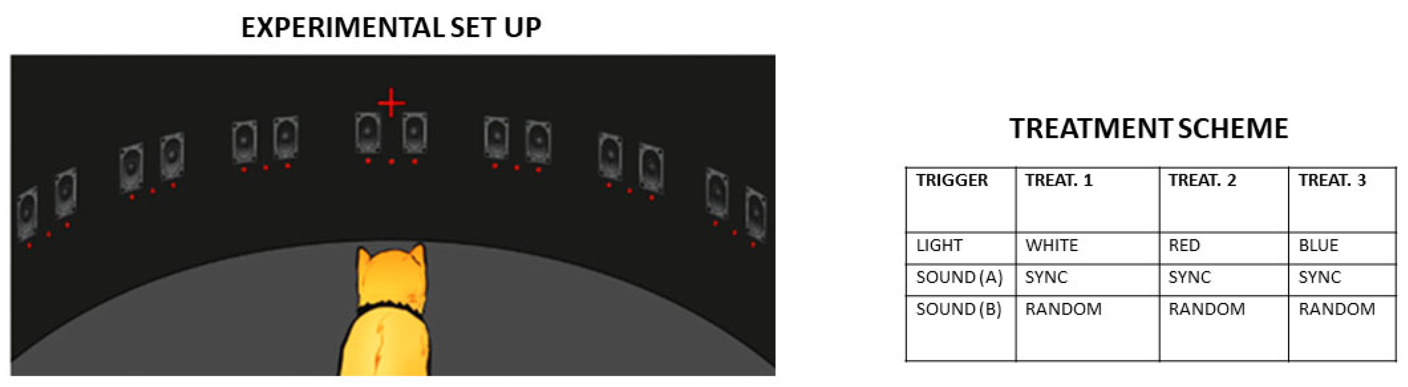 Medicina 61 01009 g004 Medicina 61 01009 g004