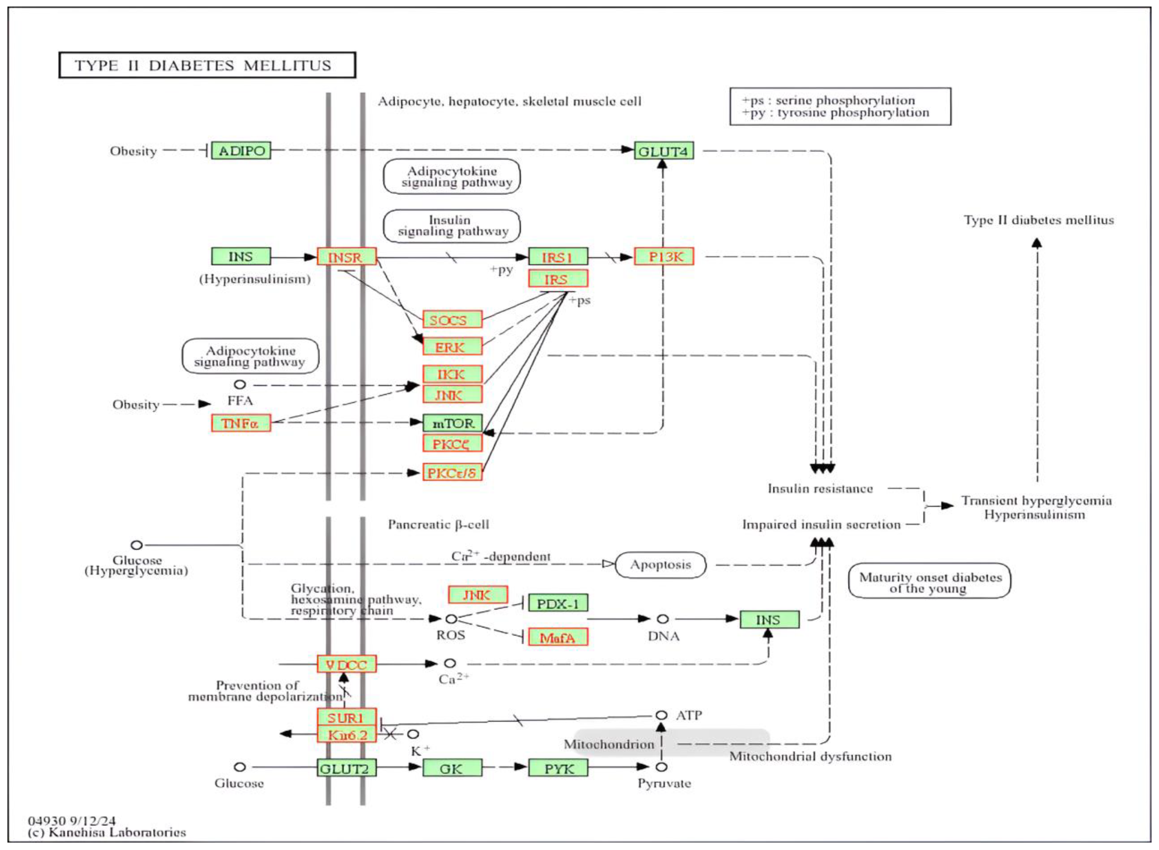 Medicina 61 01017 g004