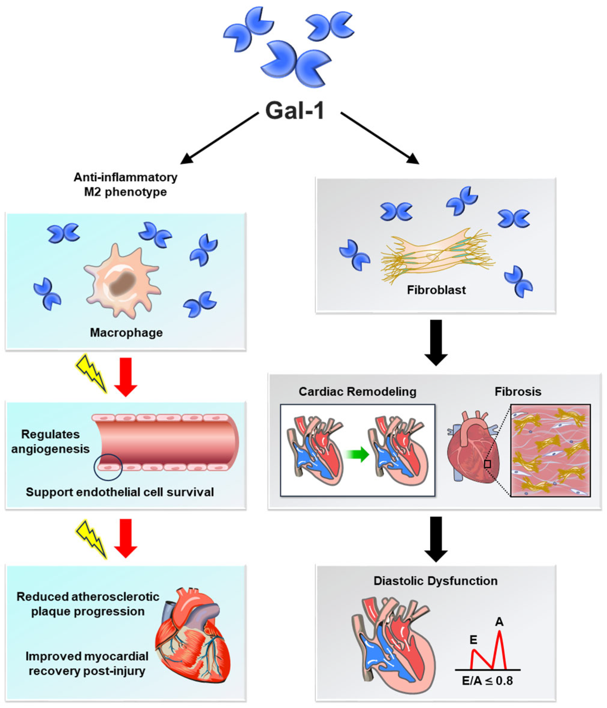 Medicina 61 01020 g002