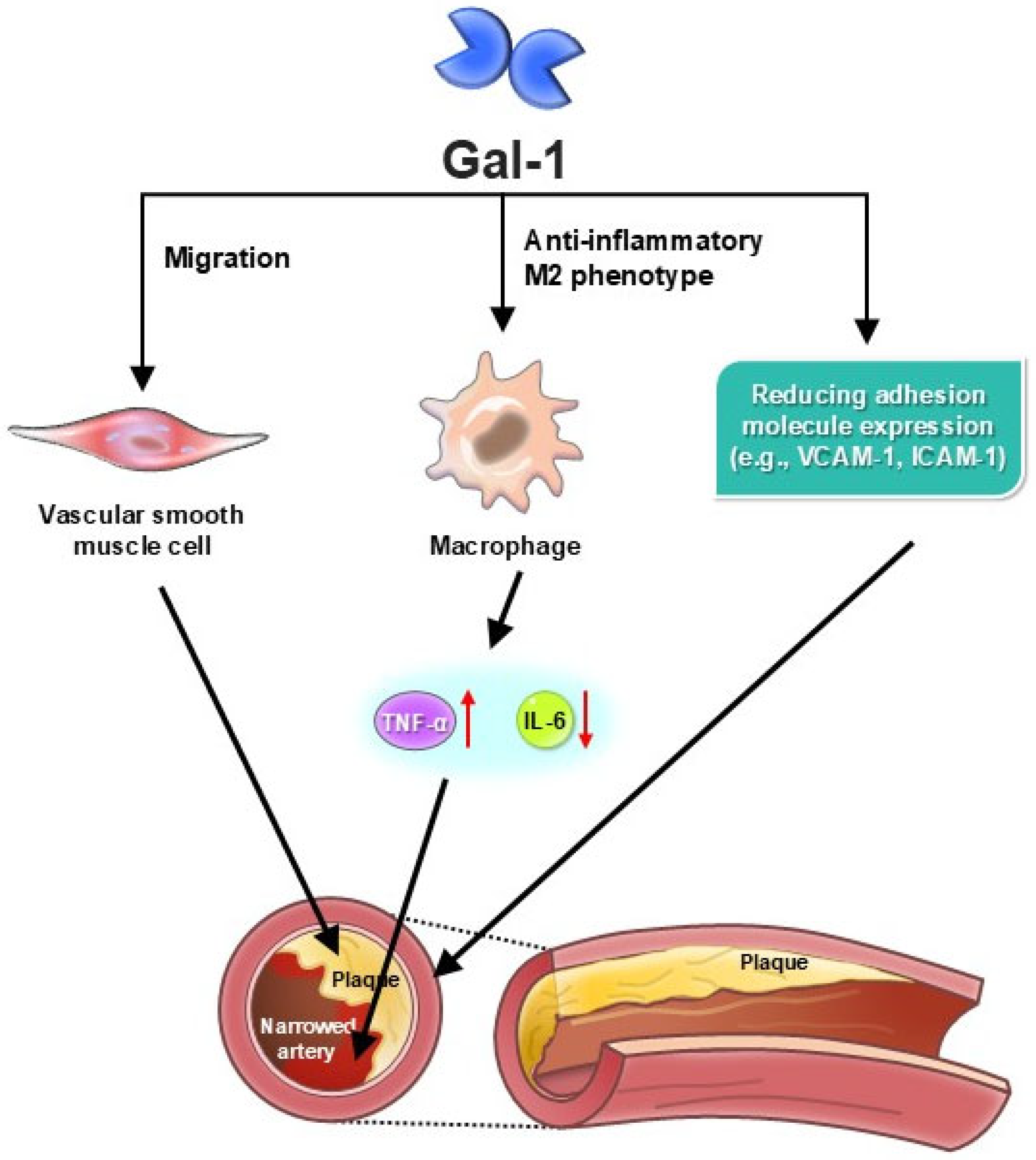 Medicina 61 01020 g003