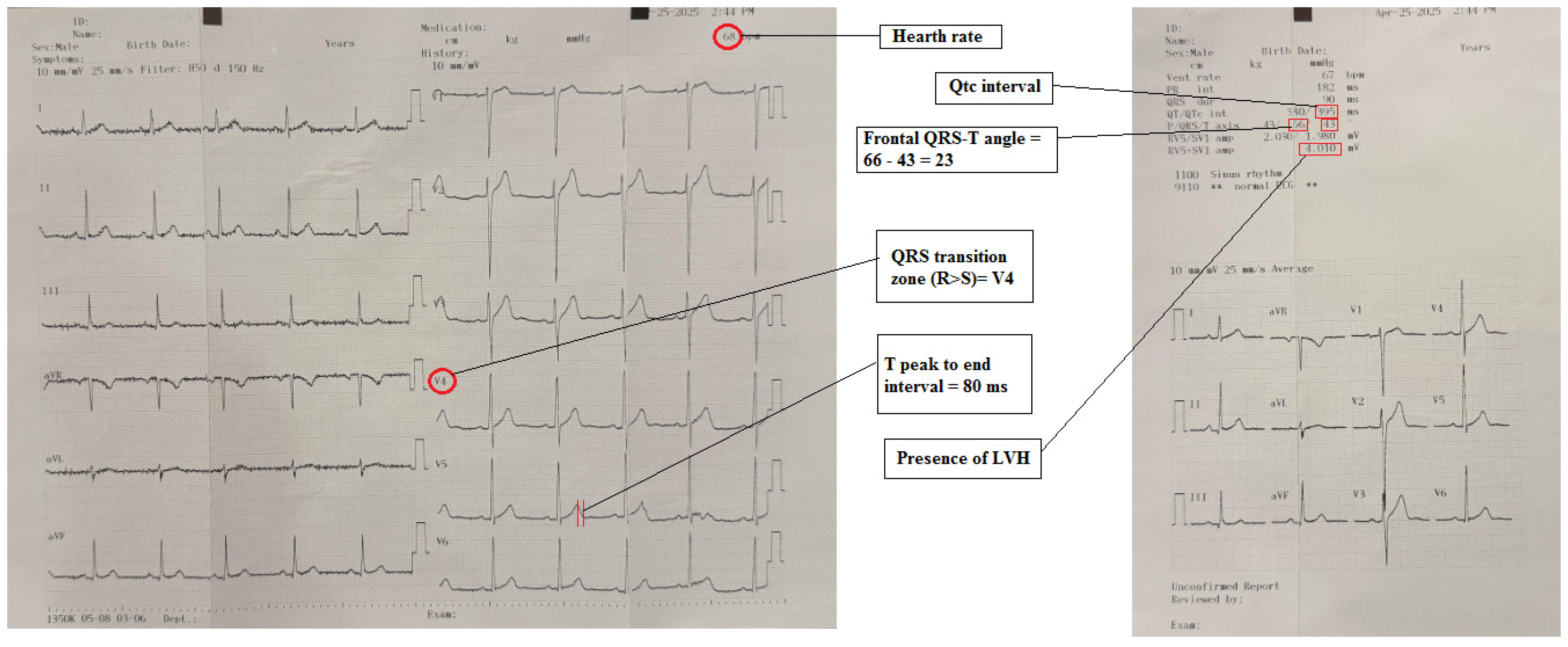Medicina 61 01026 g001
