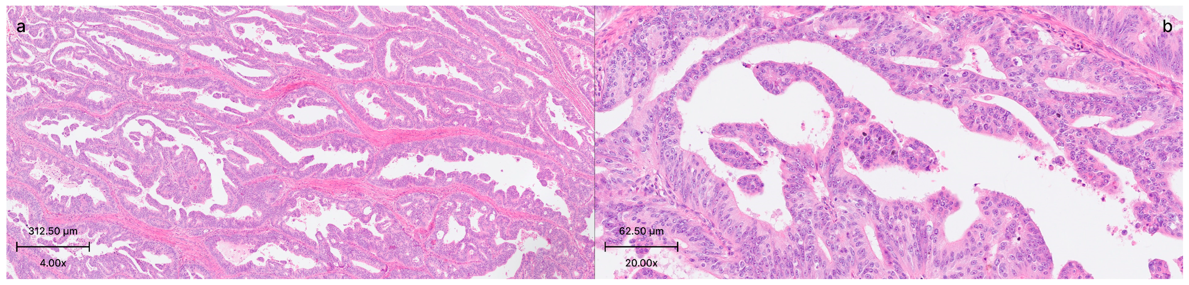 Medicina 61 01032 g001