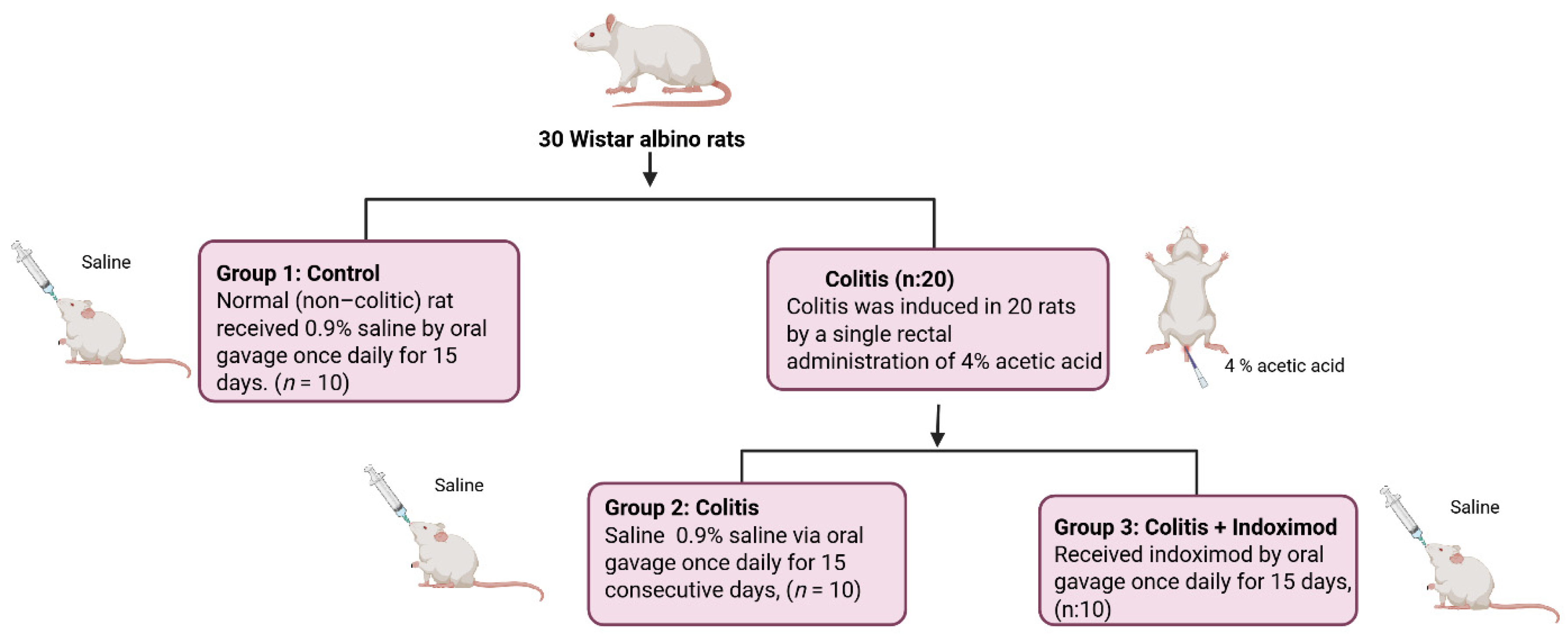 Medicina 61 01033 g001