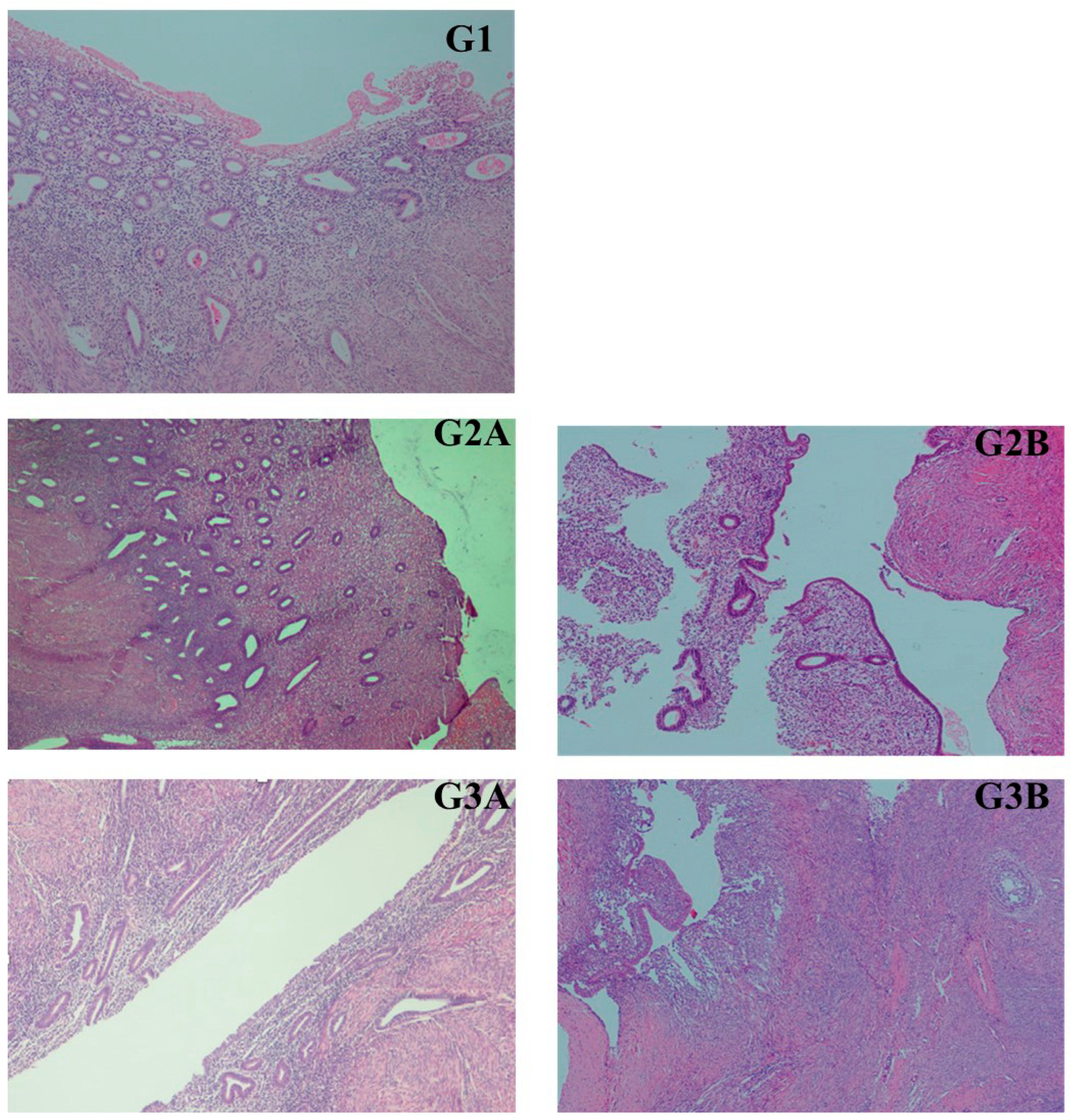 Medicina 61 01035 g001