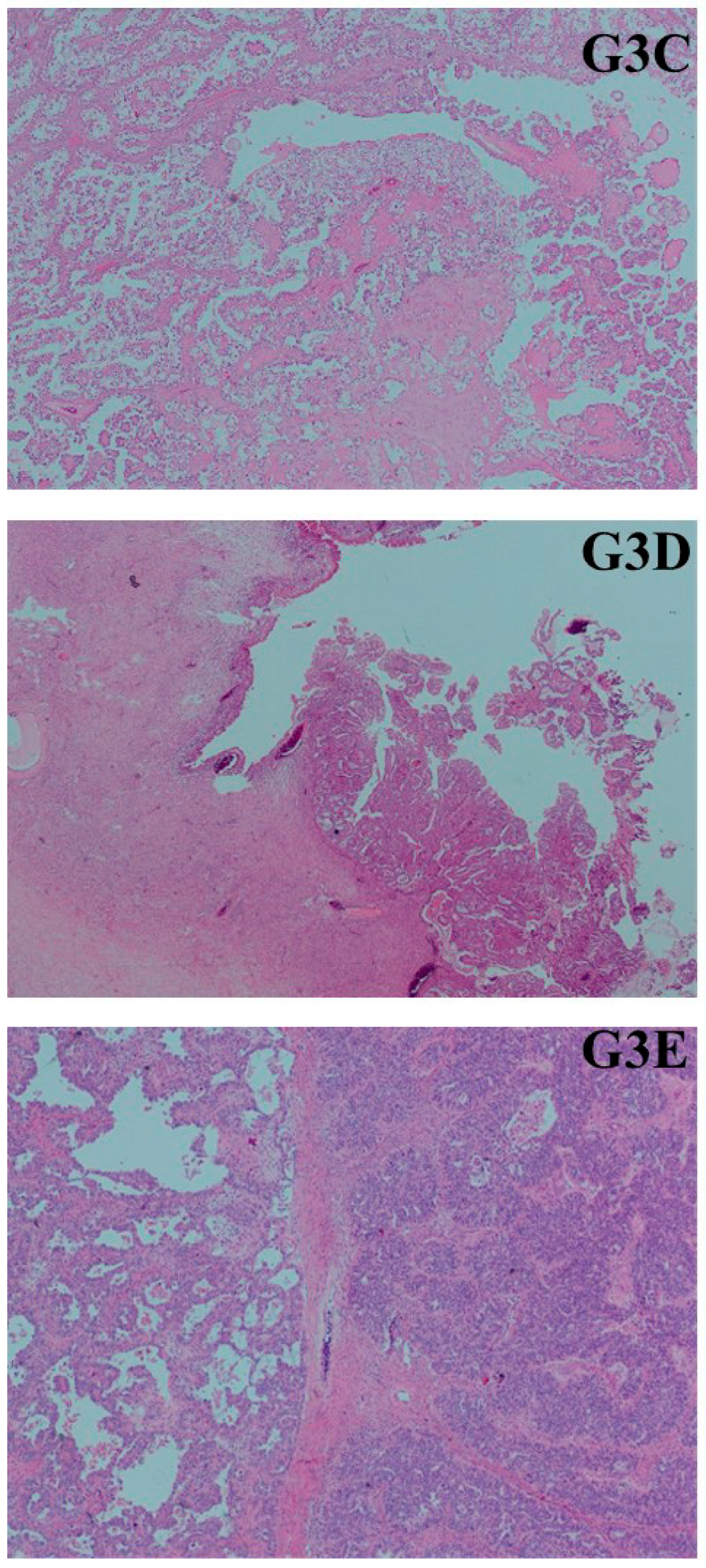 Medicina 61 01035 g002