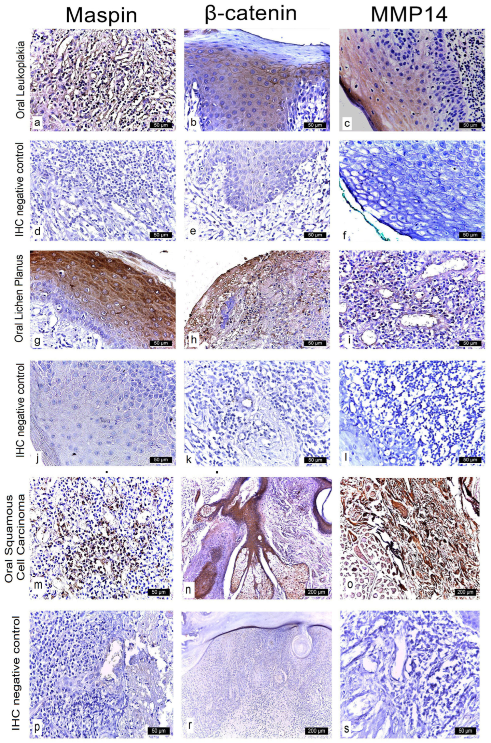 Medicina 61 01037 g003