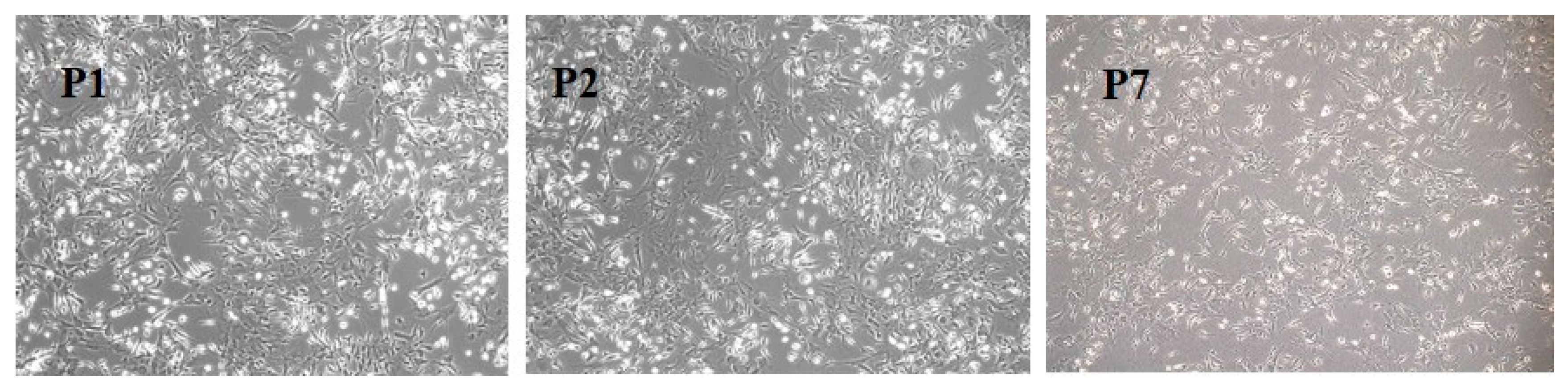 Medicina 61 01042 g001