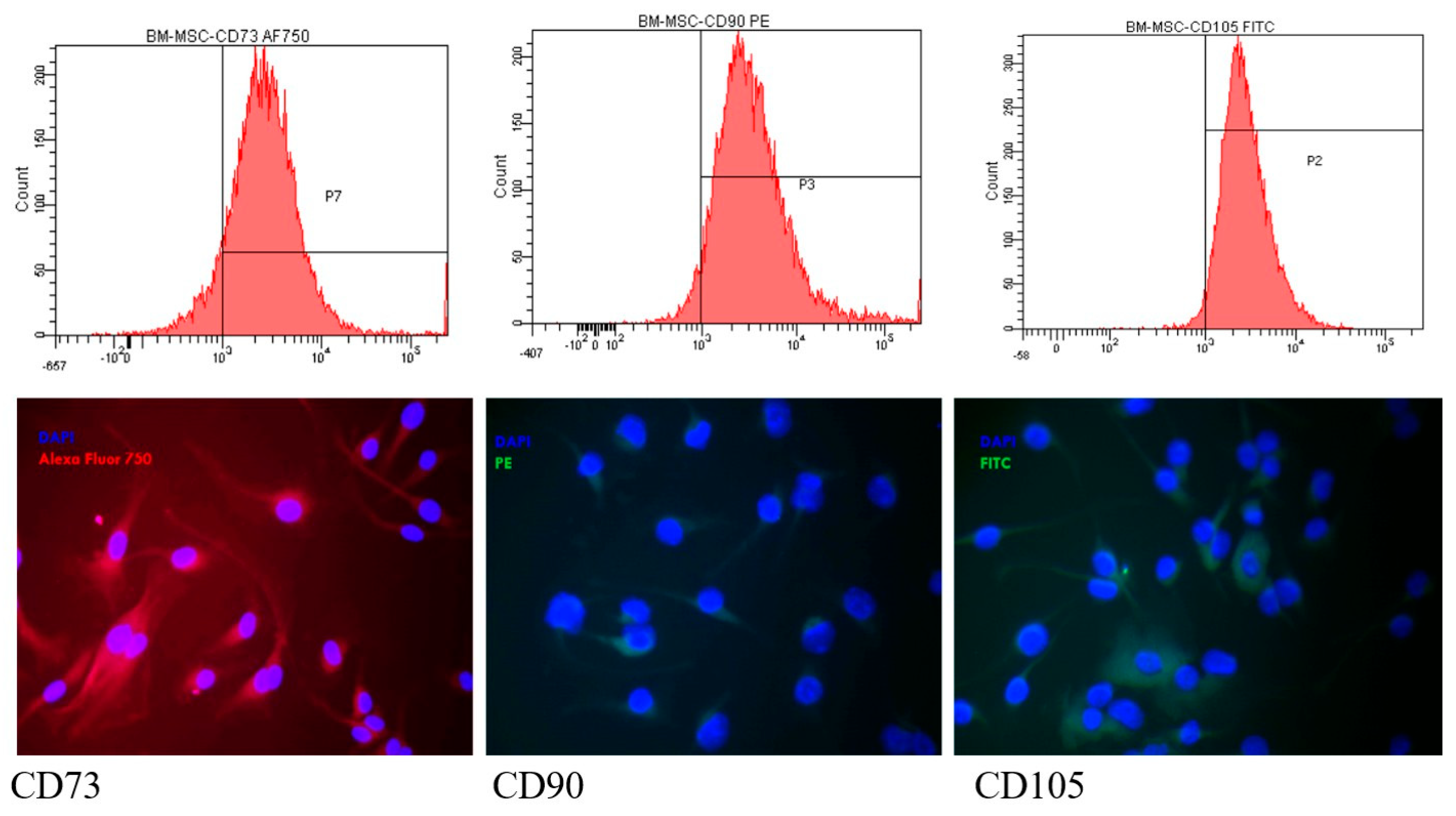 Medicina 61 01042 g003
