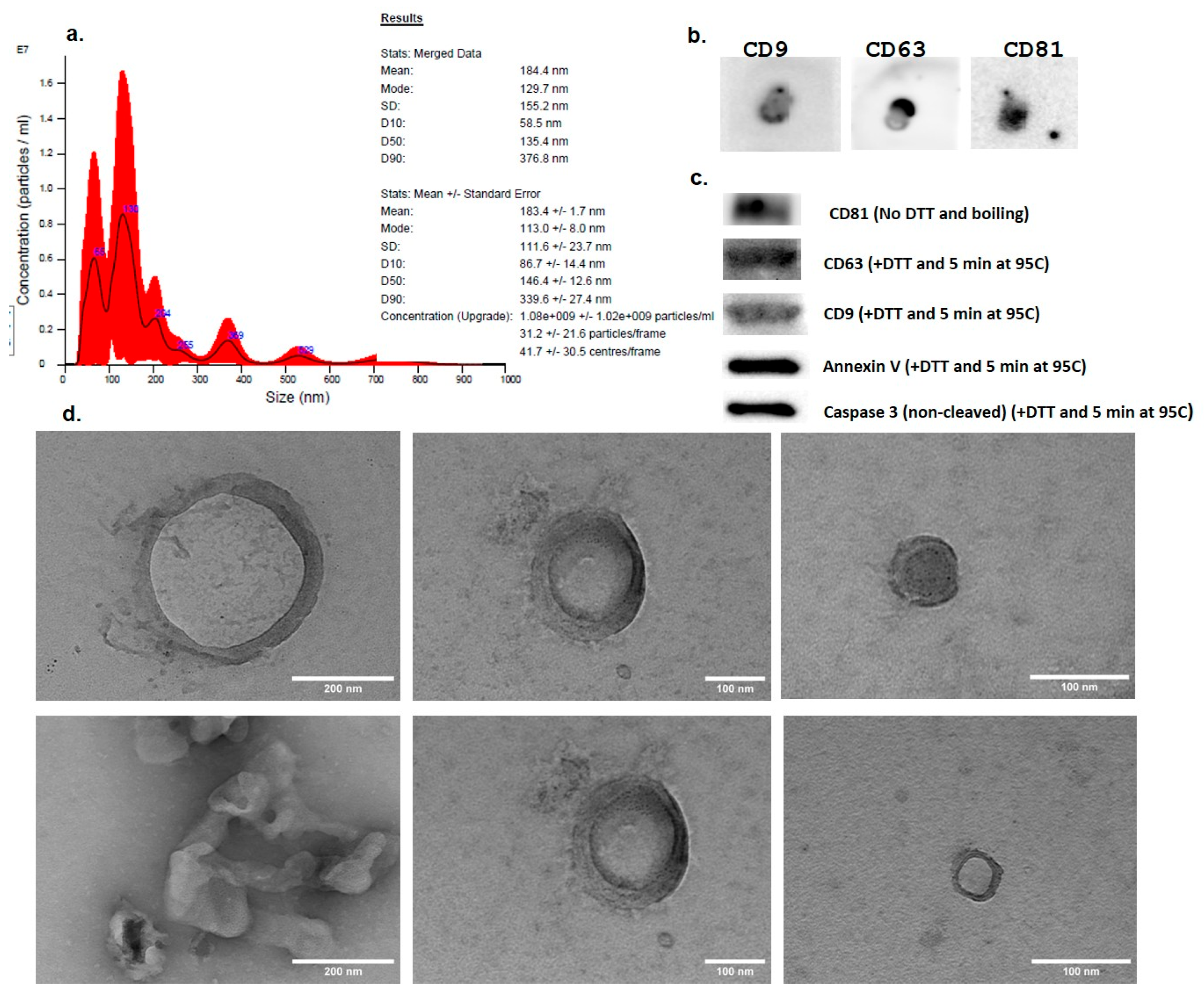 Medicina 61 01042 g004