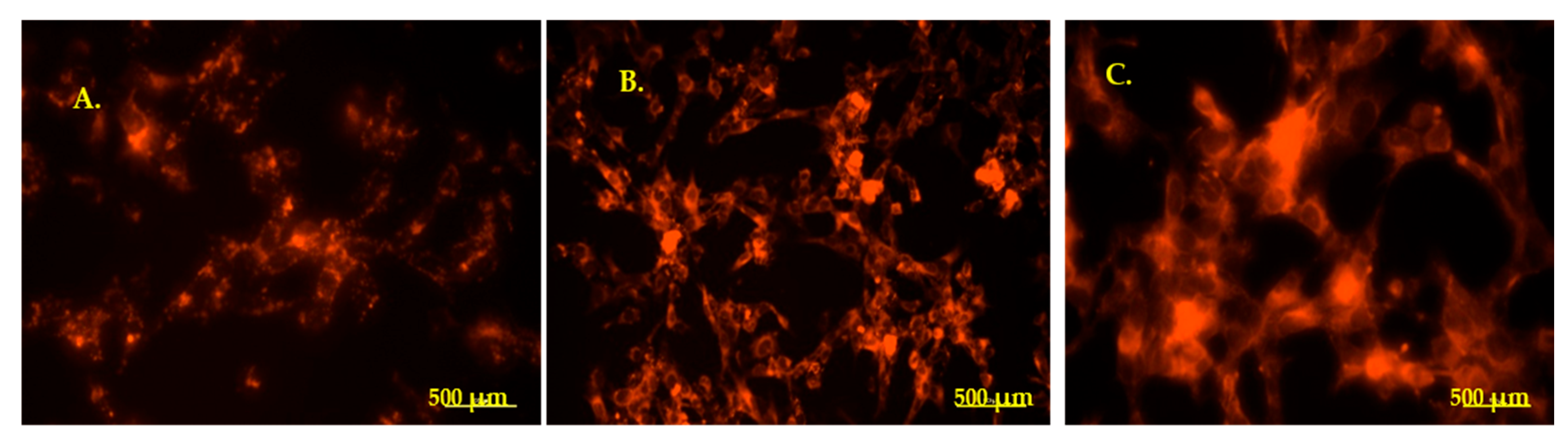 Medicina 61 01042 g005