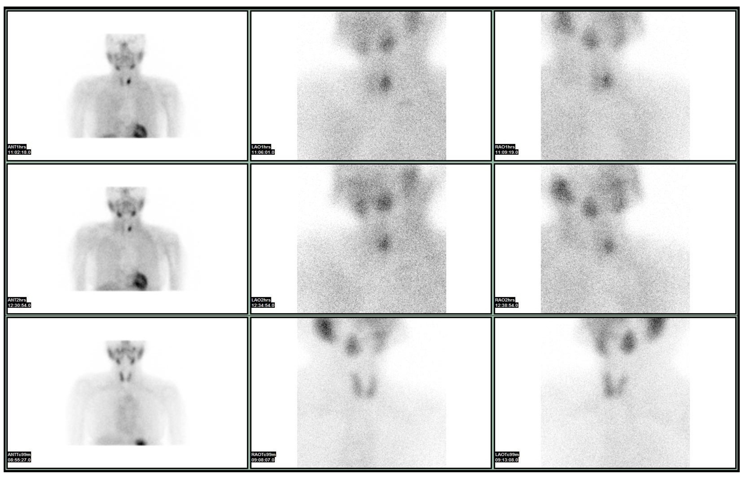 Medicina 61 01043 g001