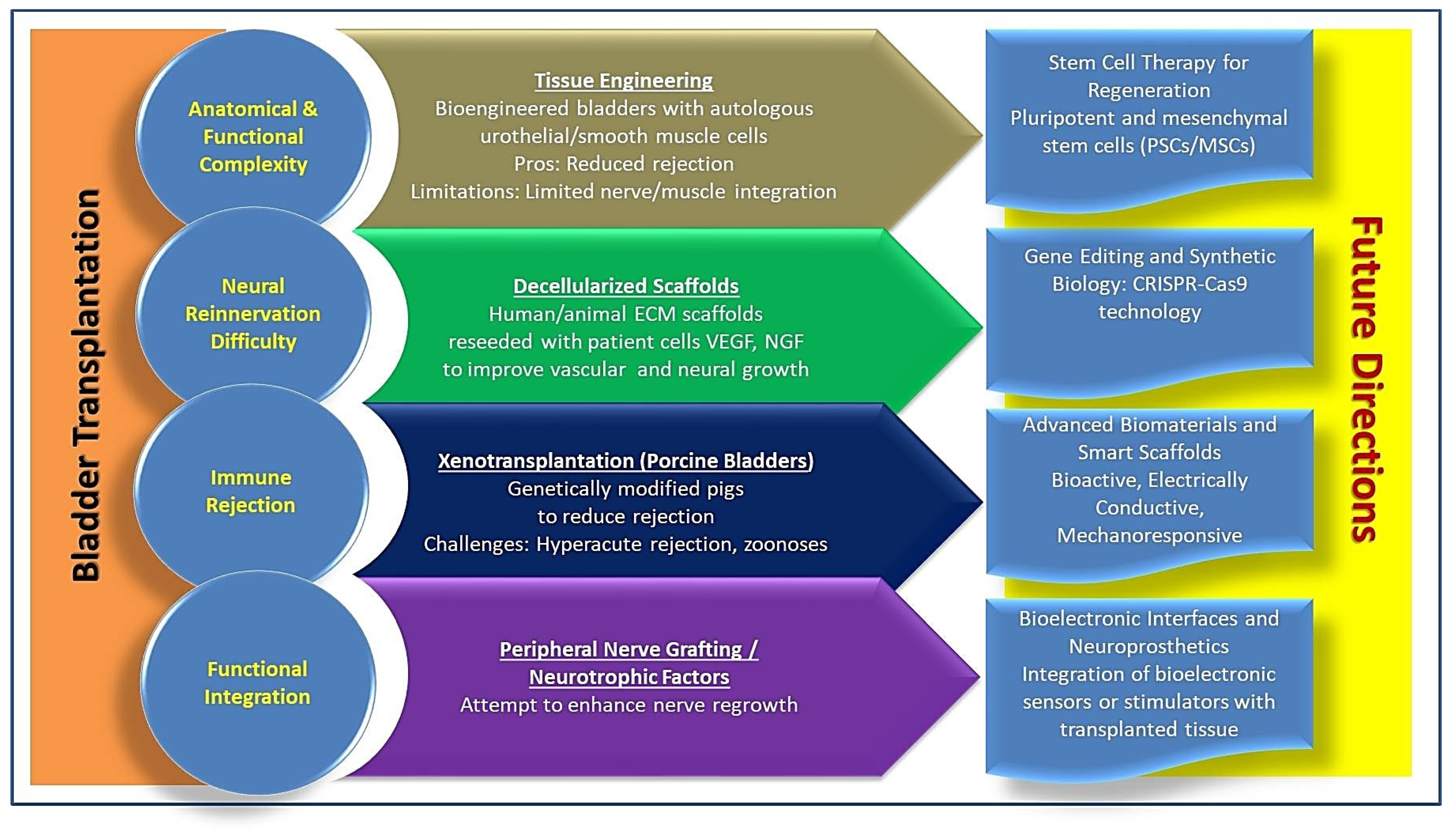 Medicina 61 01045 g001