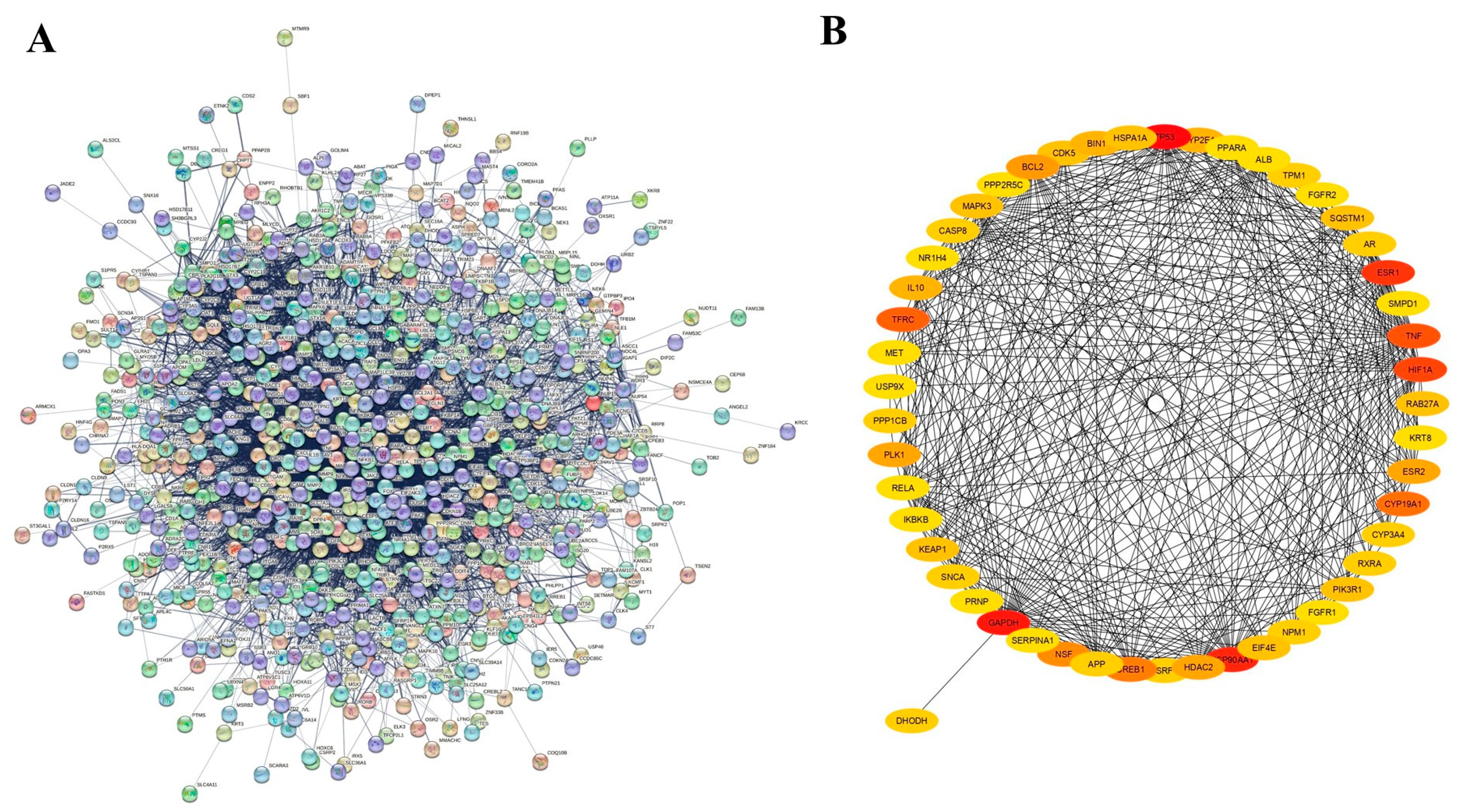 Medicina 61 01048 g003