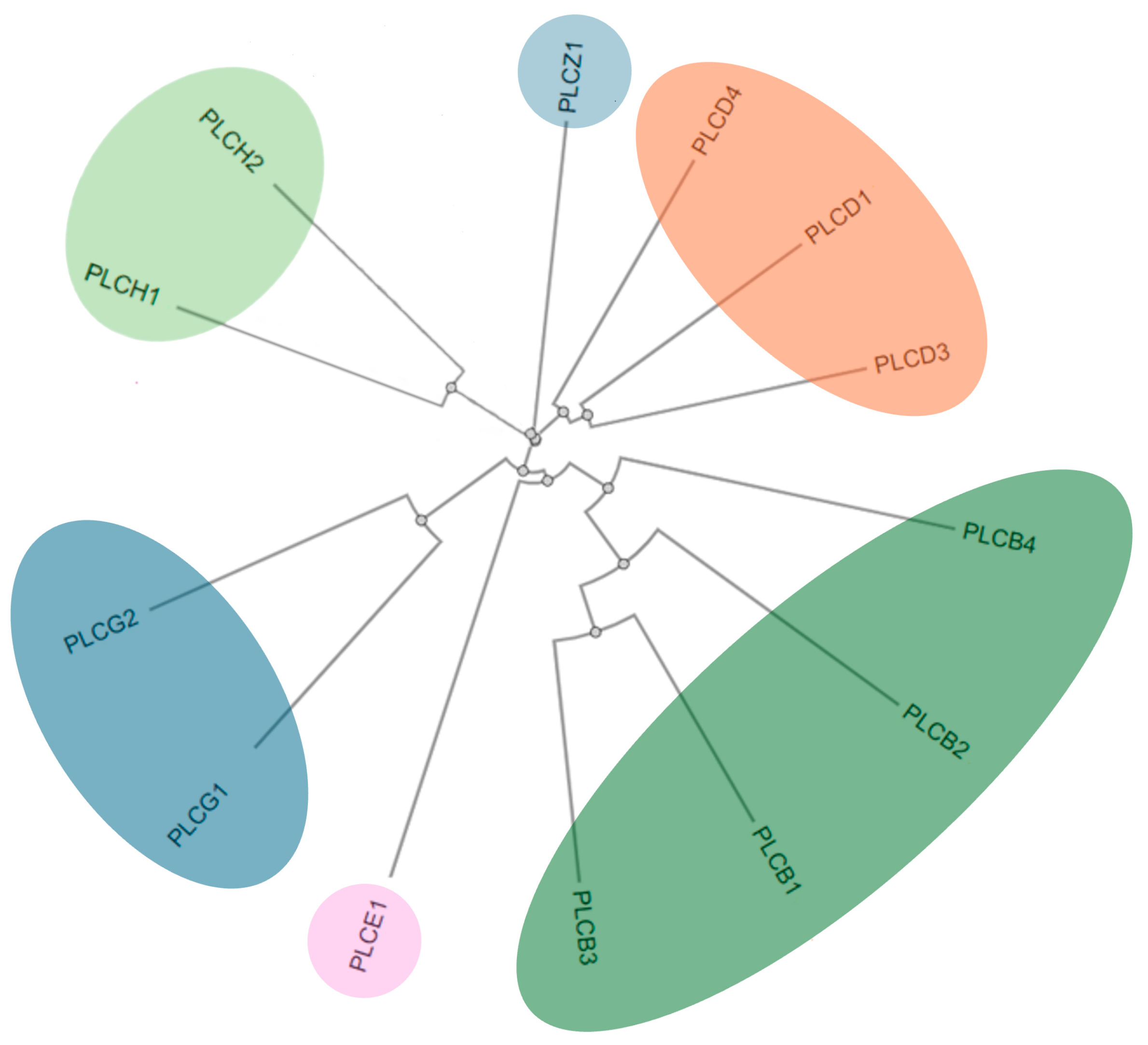 Medicina 61 01054 g001