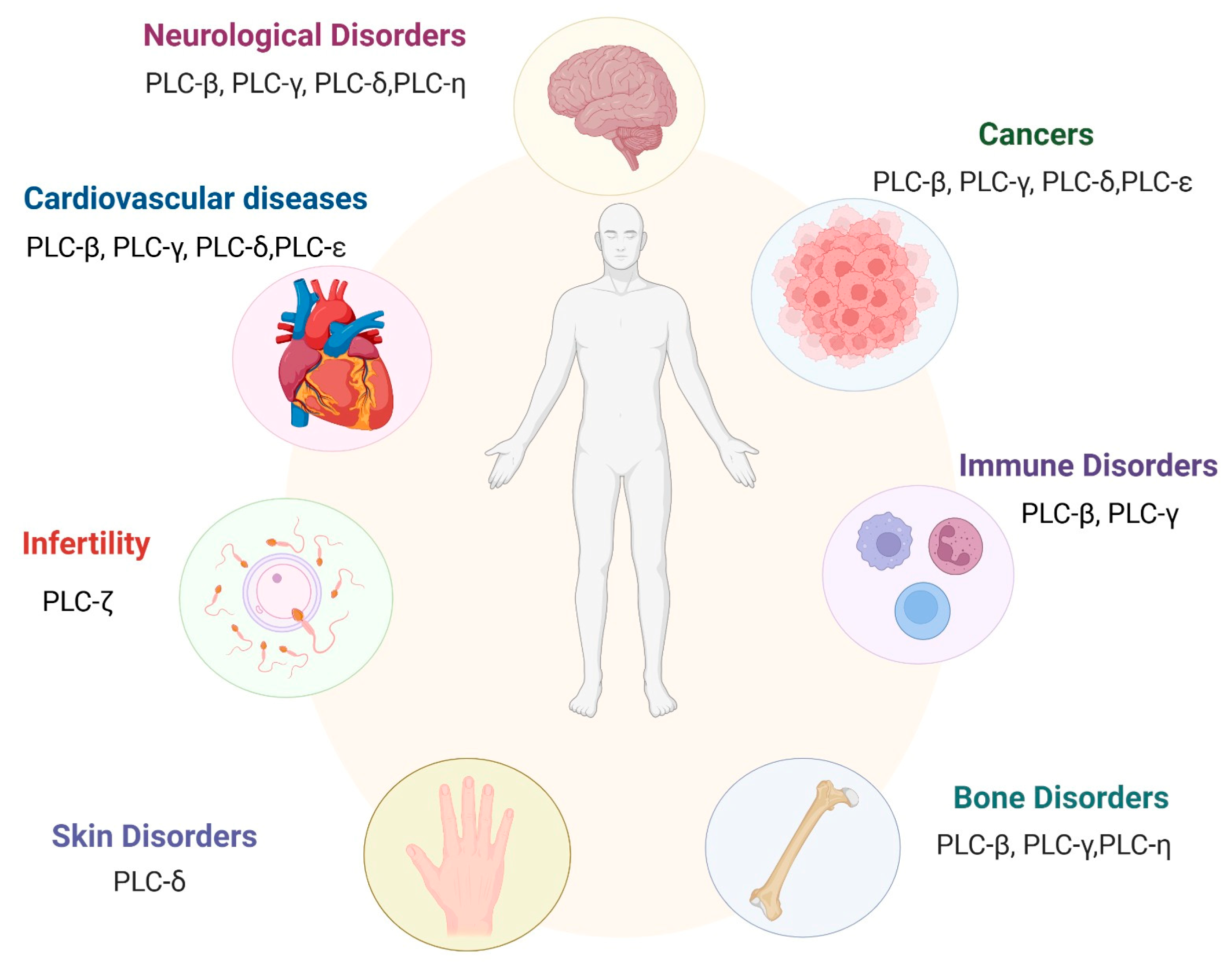 Medicina 61 01054 g005