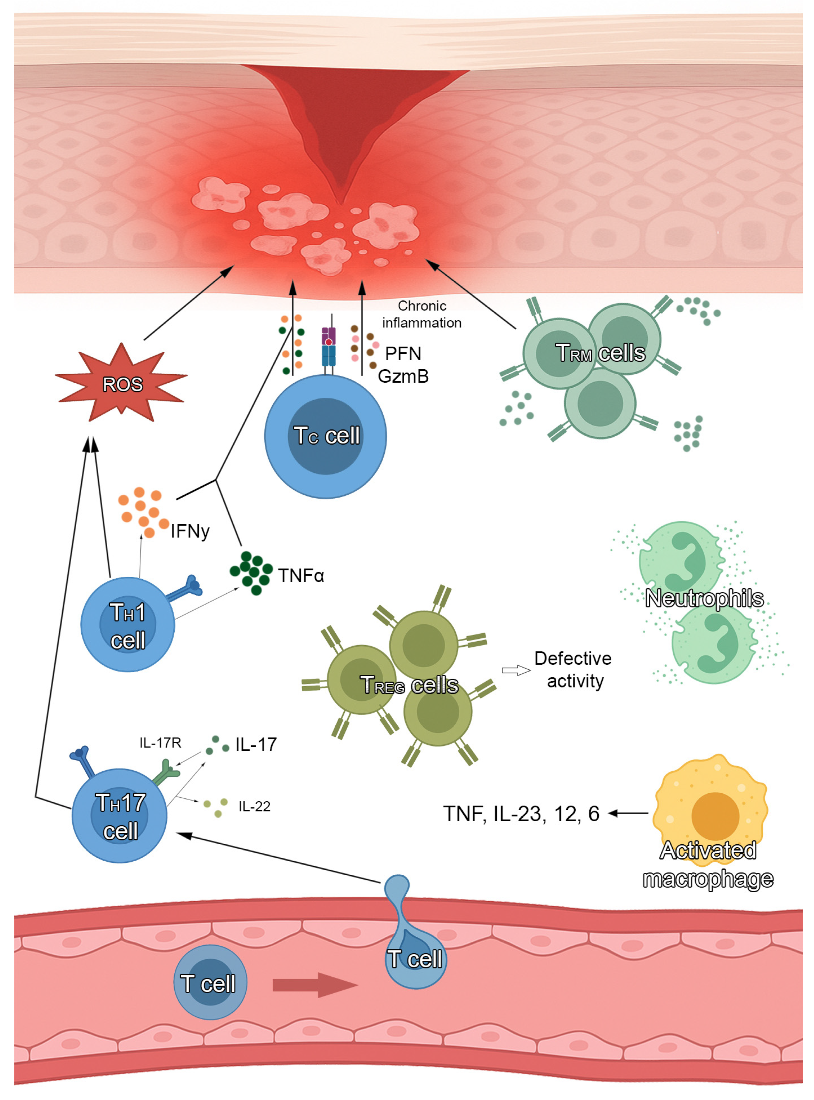 Medicina 61 01056 g001