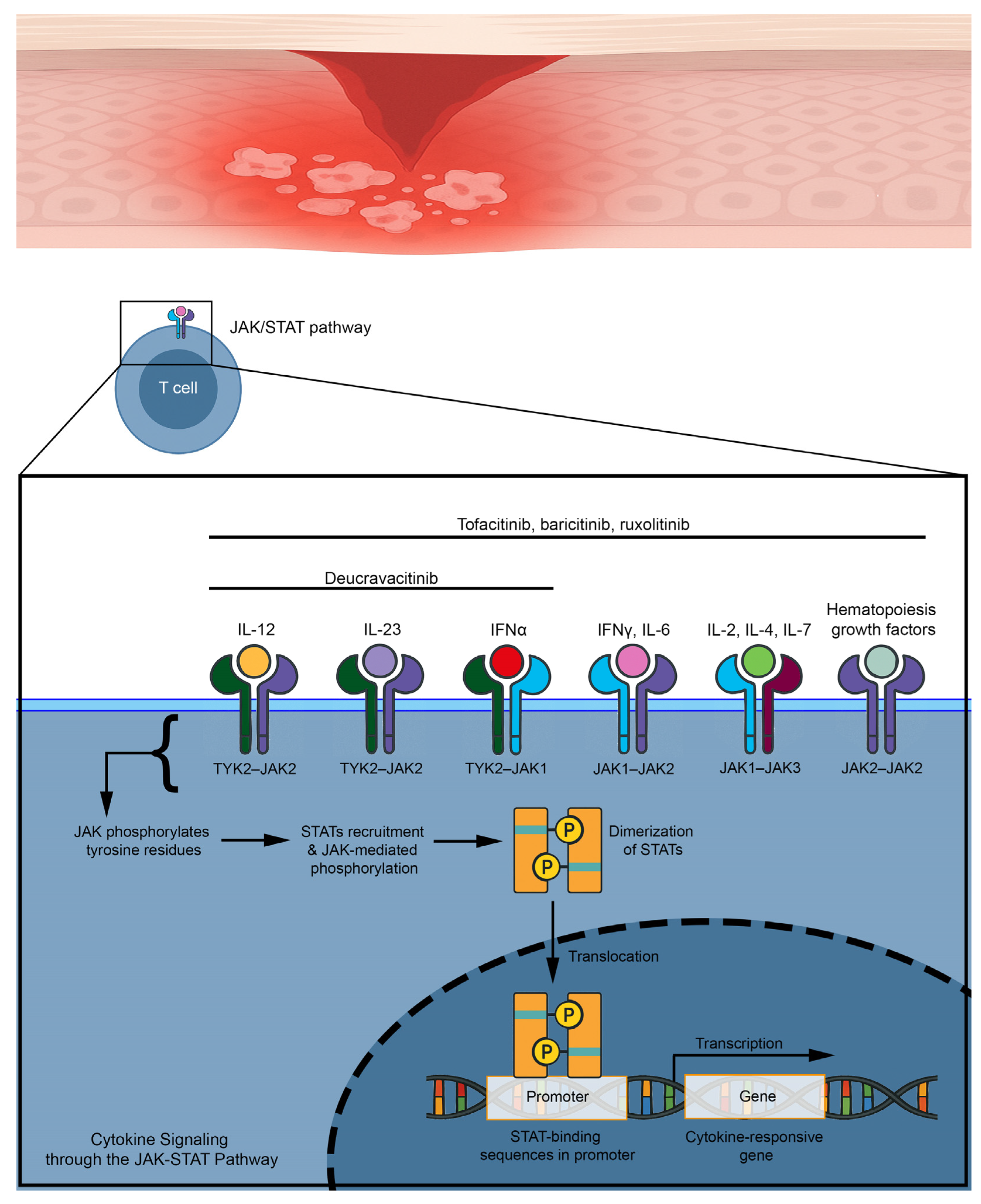 Medicina 61 01056 g007