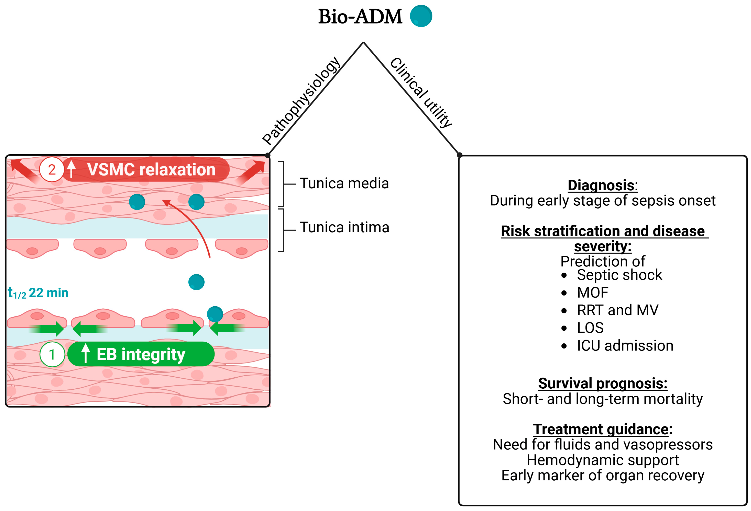 Medicina 61 01059 g001