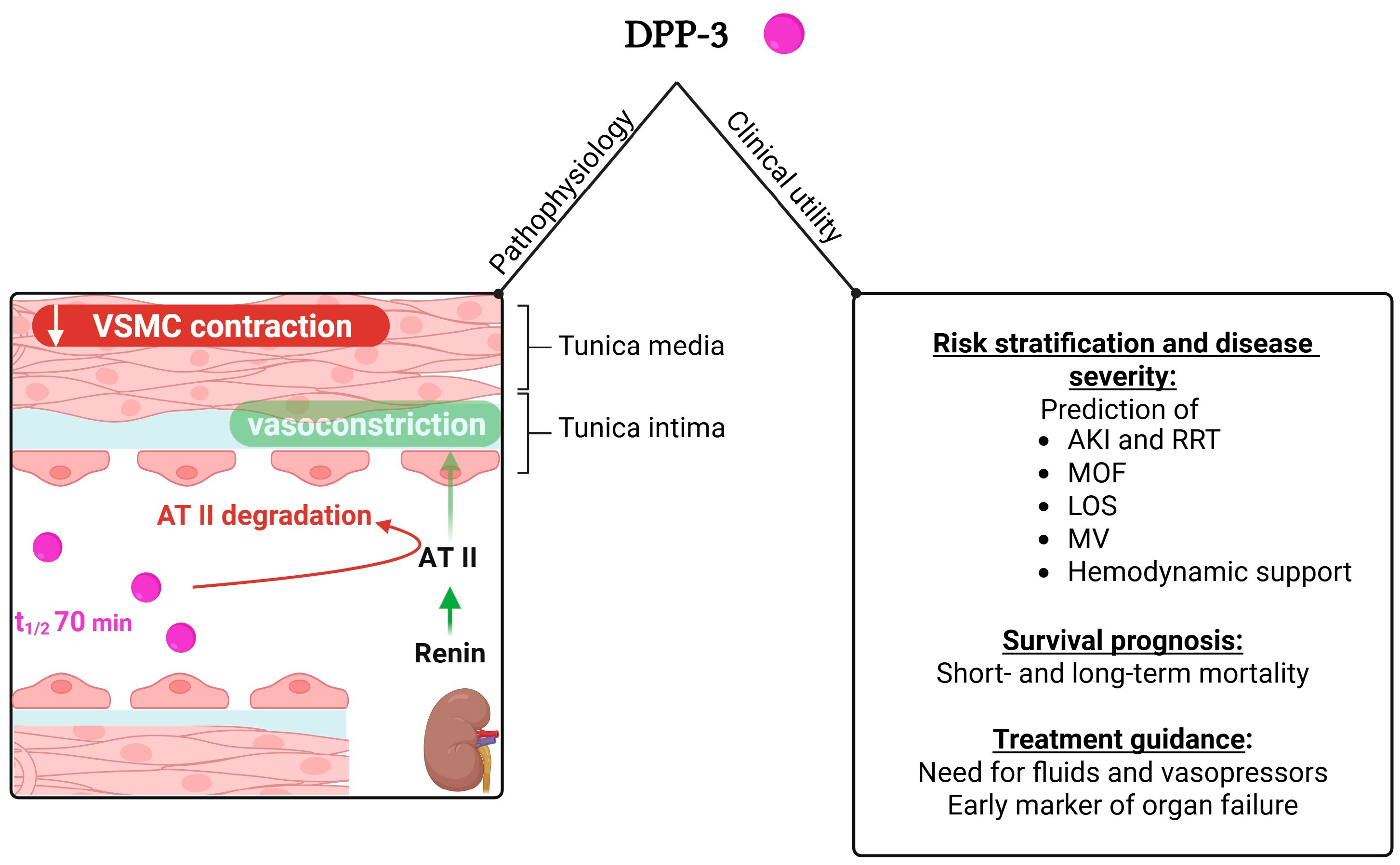 Medicina 61 01059 g002