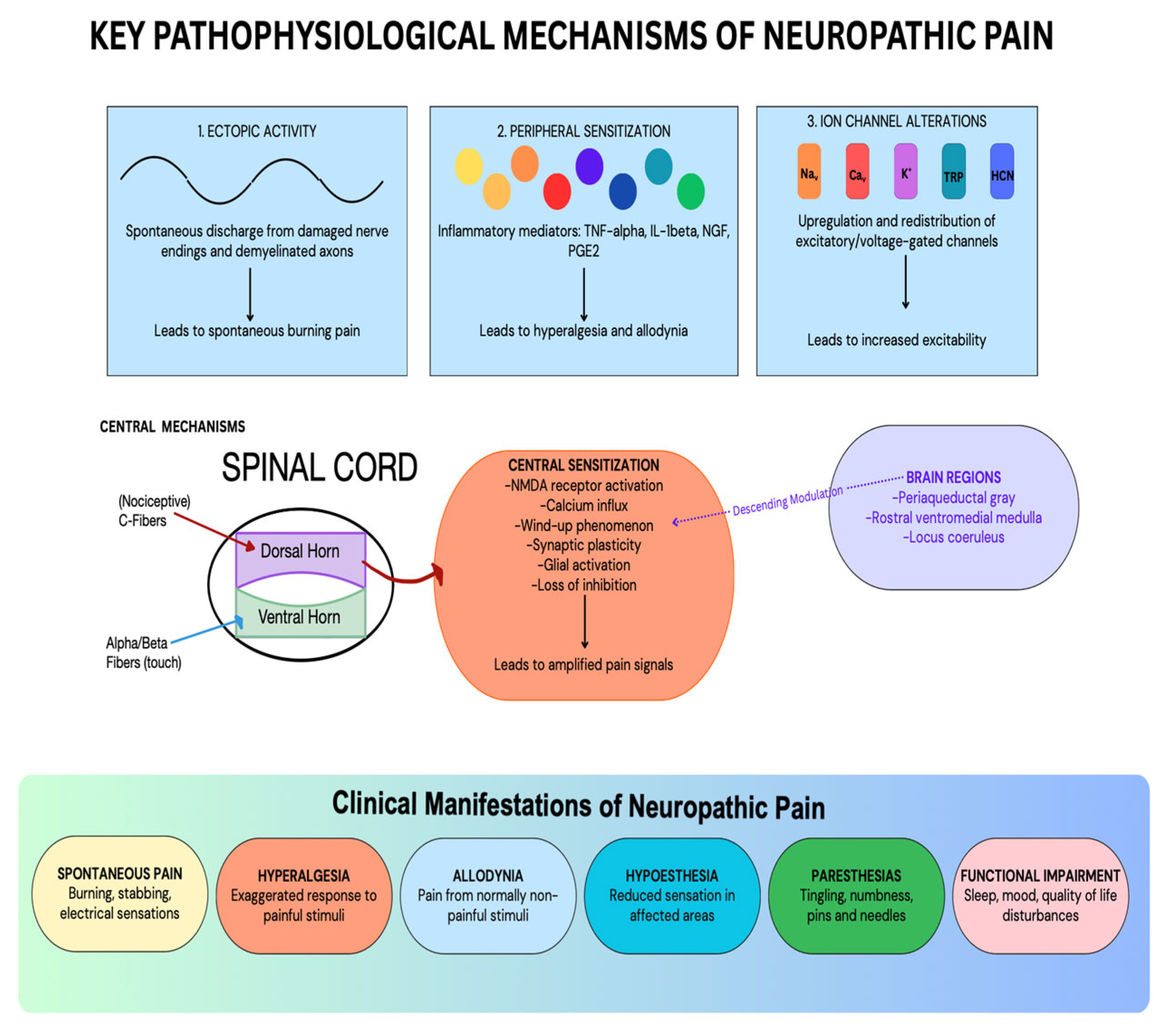 Medicina 61 01063 g001