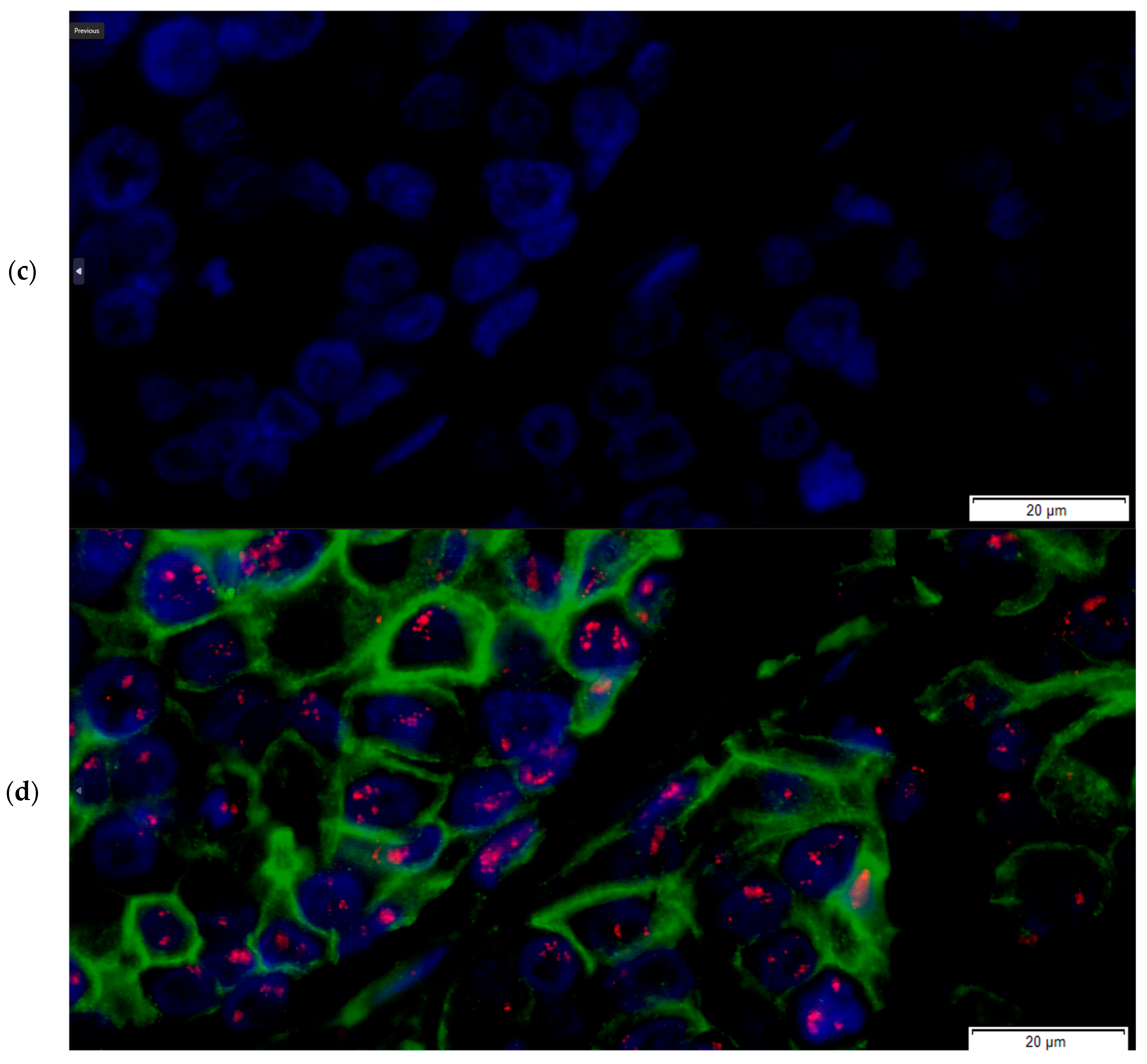 Medicina 61 01069 g008b