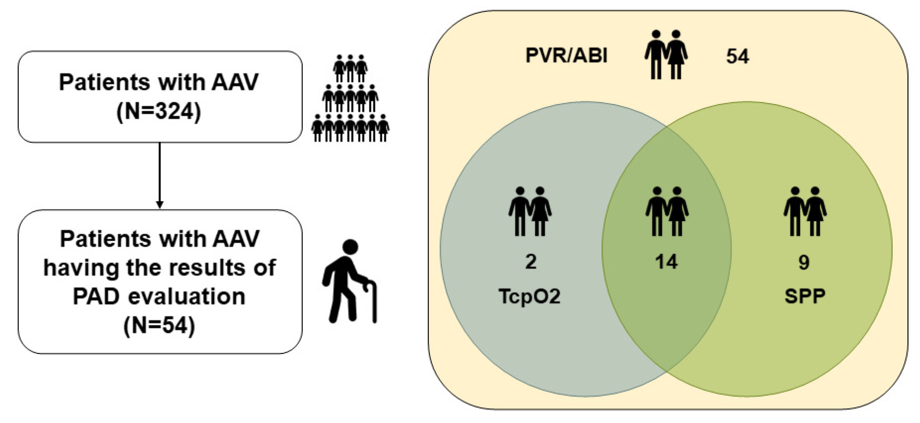 Medicina 61 01074 g001