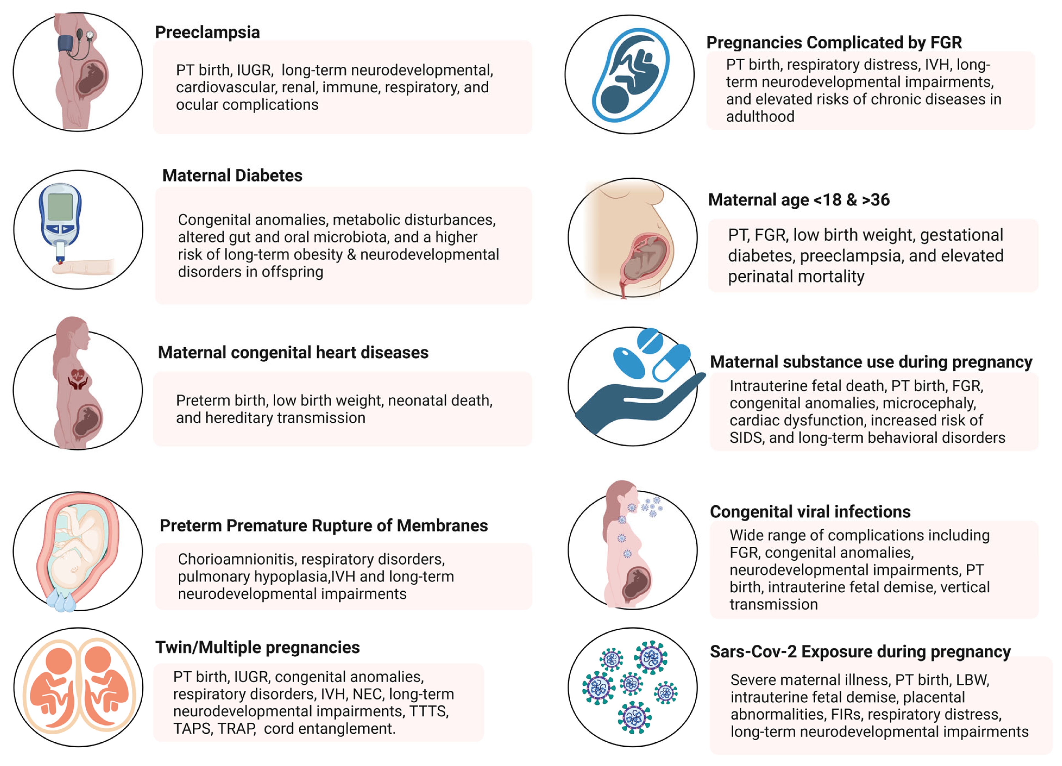 健康・医学 CARE of the HIGH-RISK NEONATE Klaus and Fanaroff's Care of the High-Risk Neonate