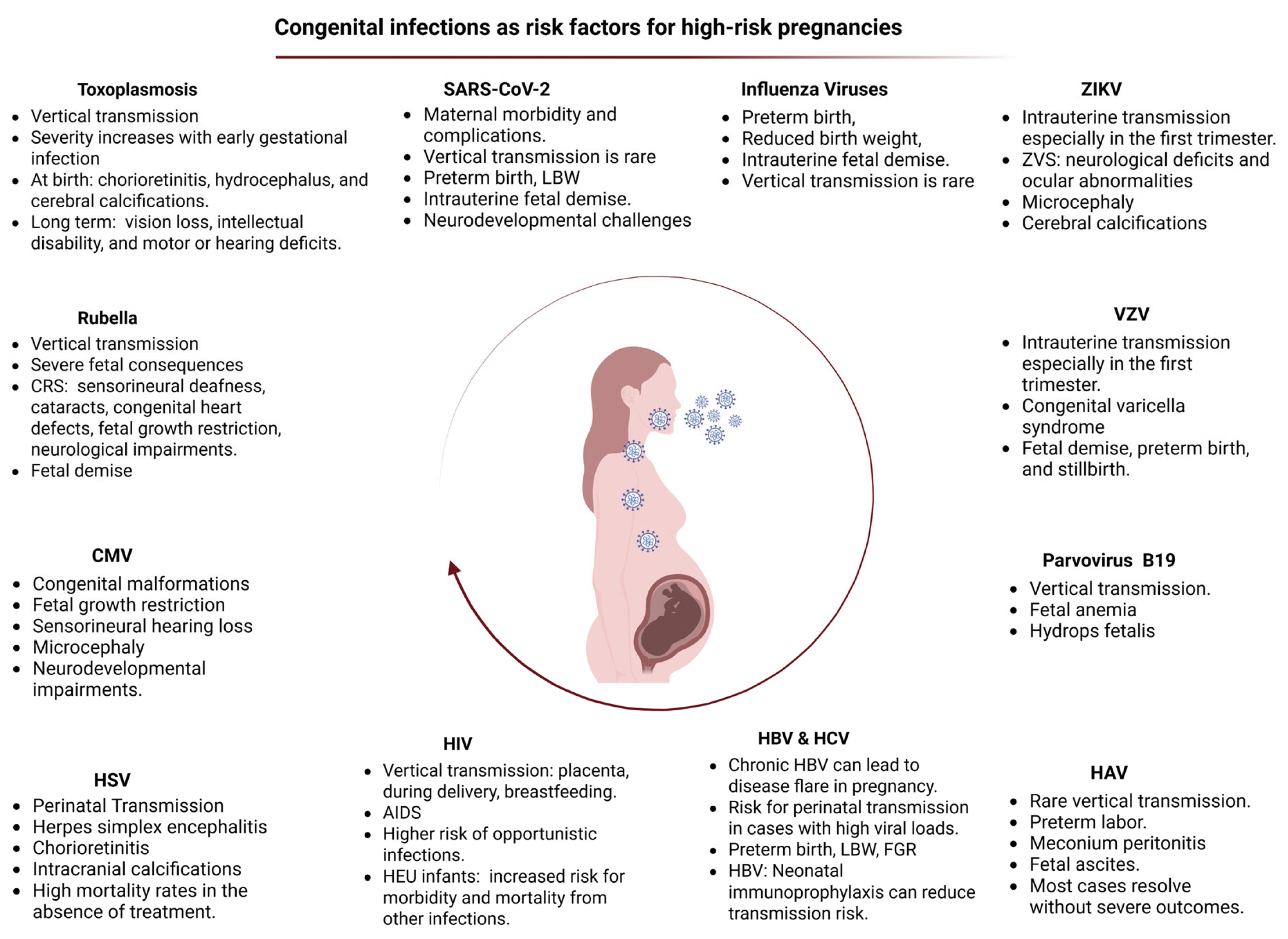 Neonates at Risk: Understanding the Impact of High-Risk